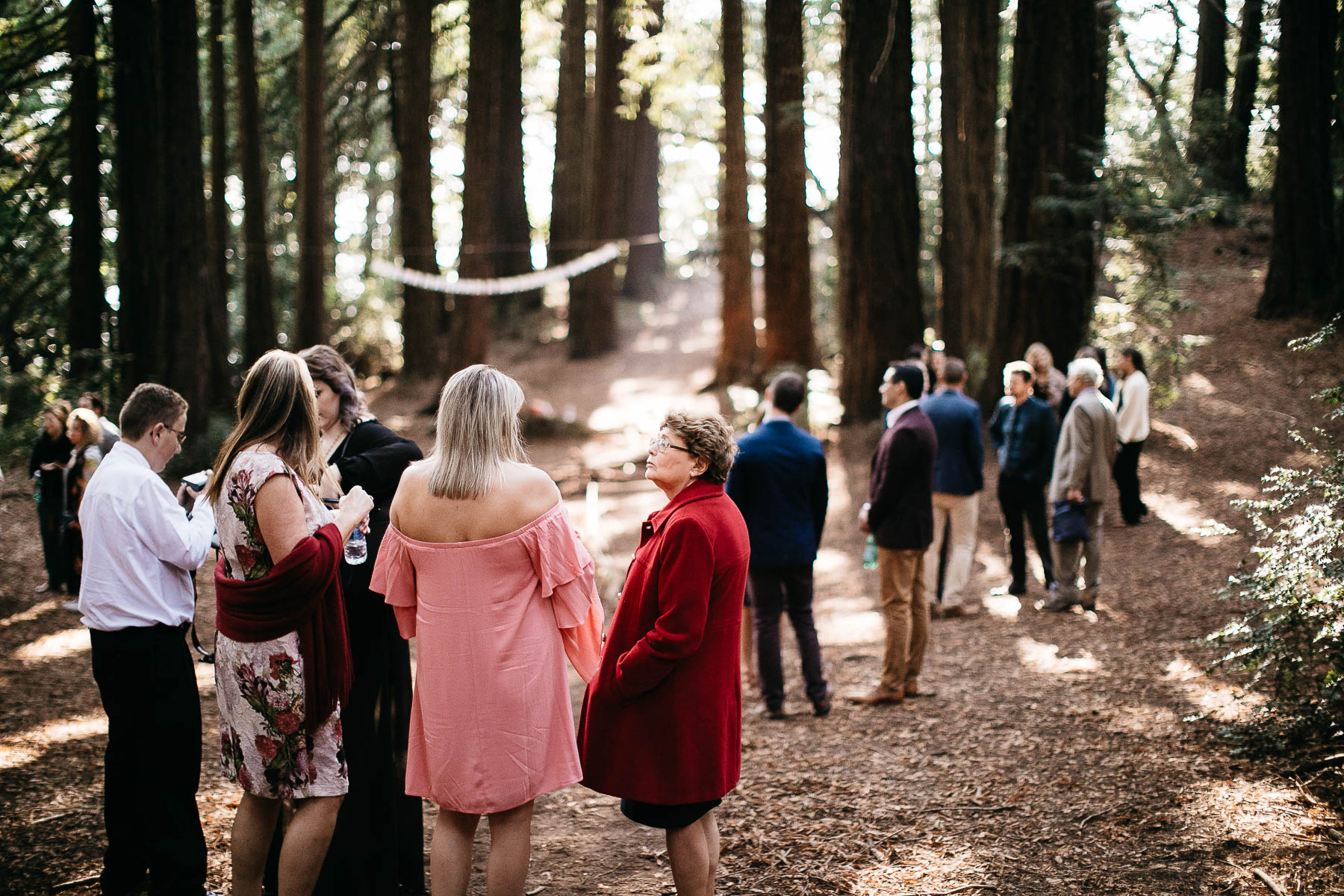 oakland-redwoods-summer-wedding-32