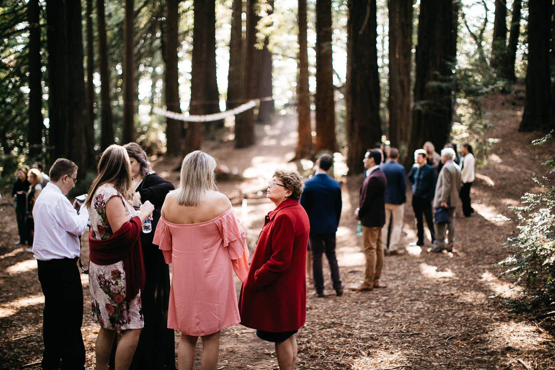 oakland-redwoods-summer-wedding-32