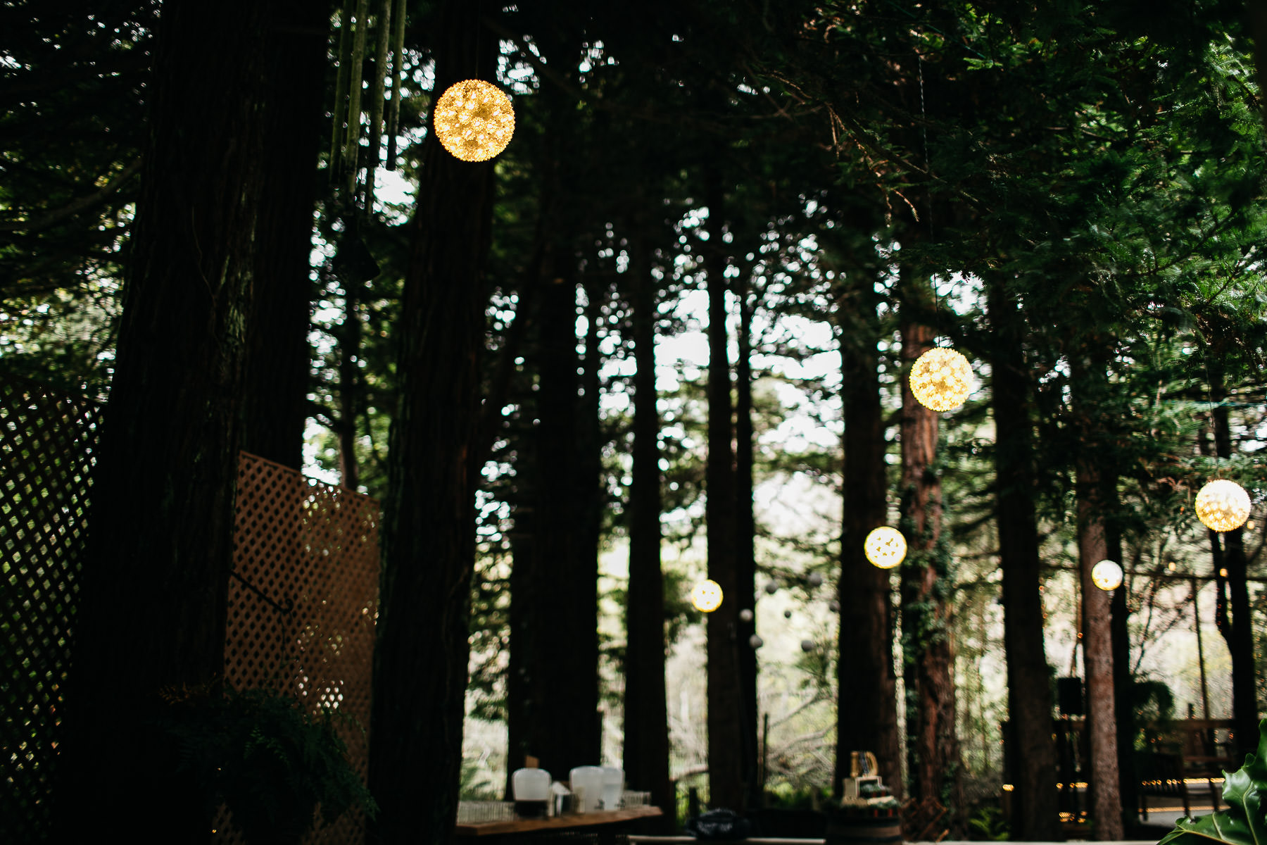 bodega-bay-secret-garden-gloomy-fall-wedding-56