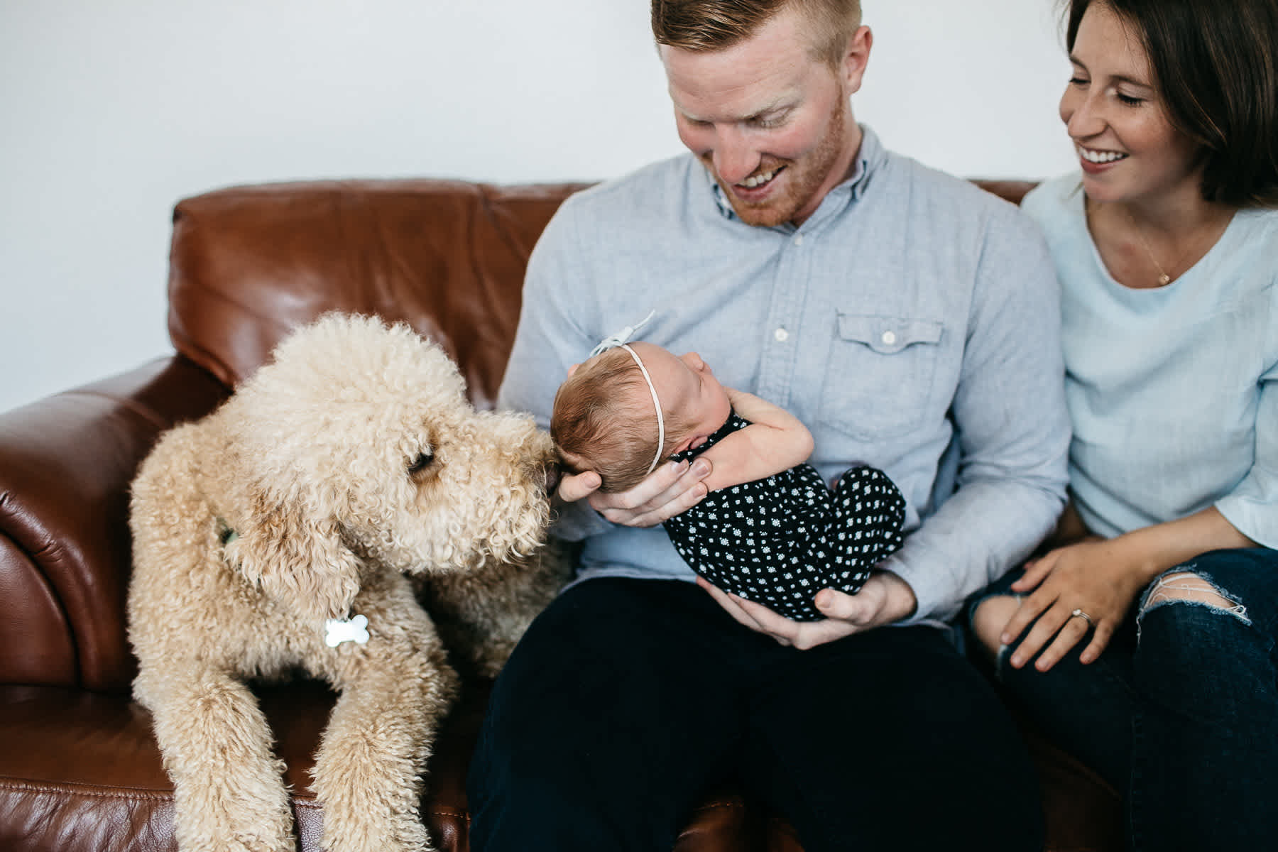 san-francisco-lifestyle-in-home-newborn-with-dog-4
