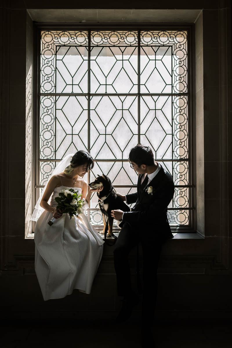 sf-city-hall-redwoods-elopement-shiba-27