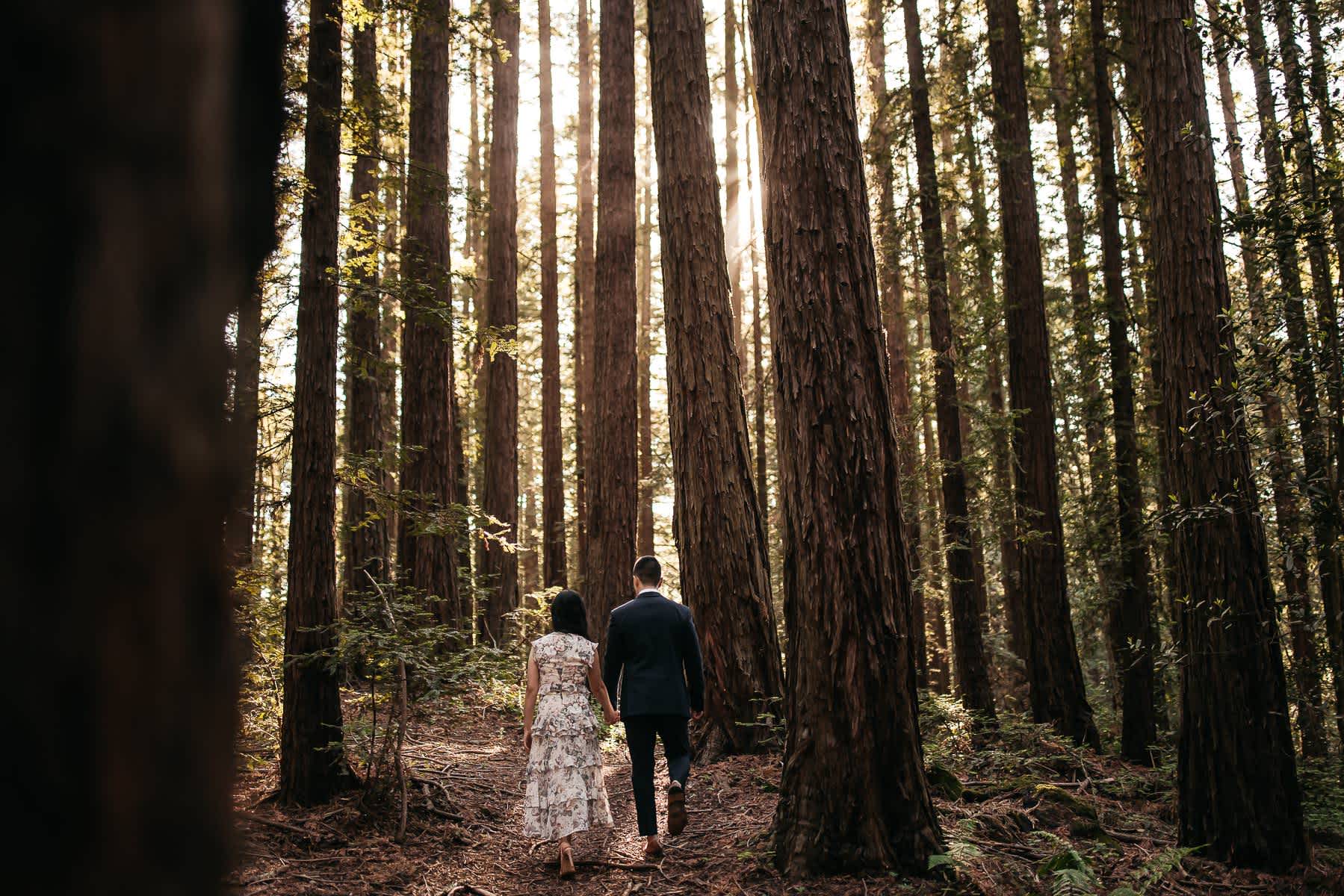 redwoods-coastal-pampas-grass-lifestyle-engagement-session-with-pups-13