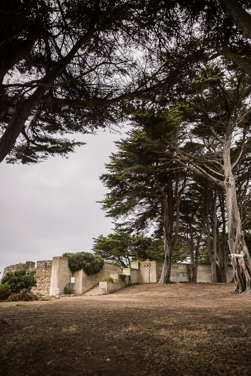 san-francisco-presidio-urban-wedding-trolley-ride-70