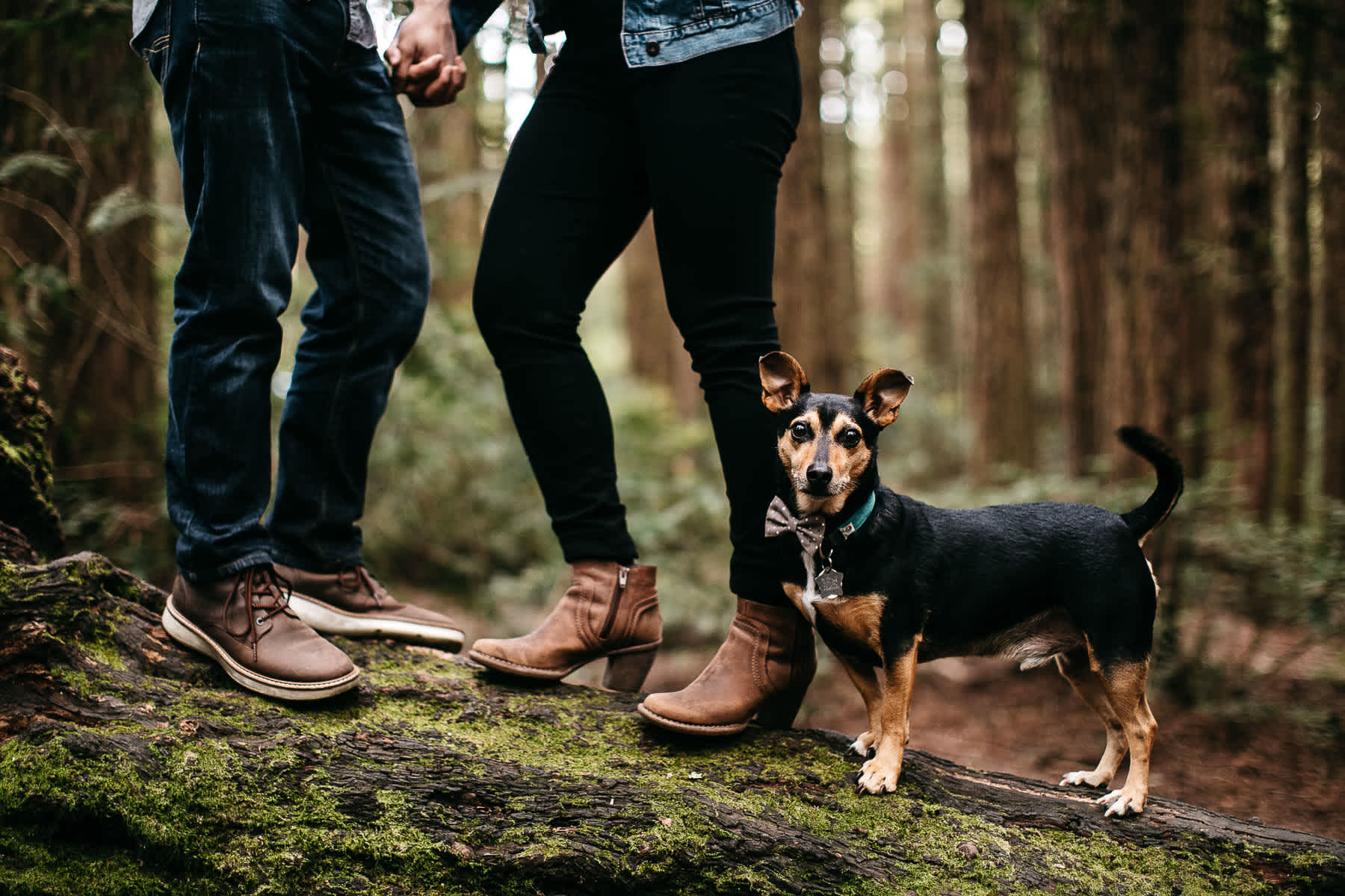 oakland-gloomy-redwood-engagement-session-with-puppy-13