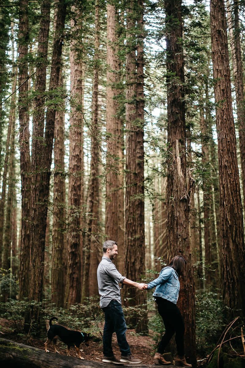 oakland-gloomy-redwood-engagement-session-with-puppy-10