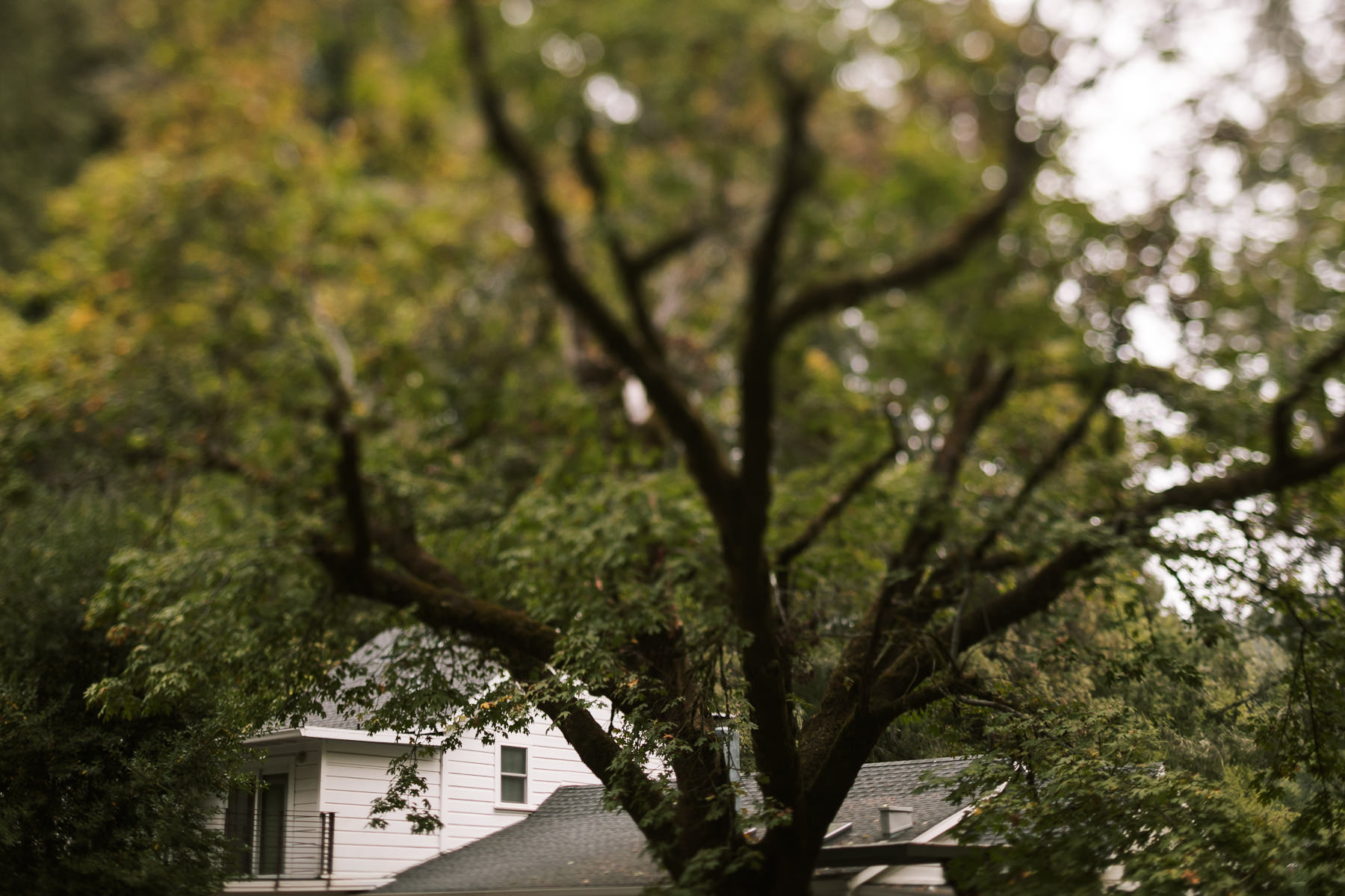 mendocino-coastal-intimate-wedding-day-73