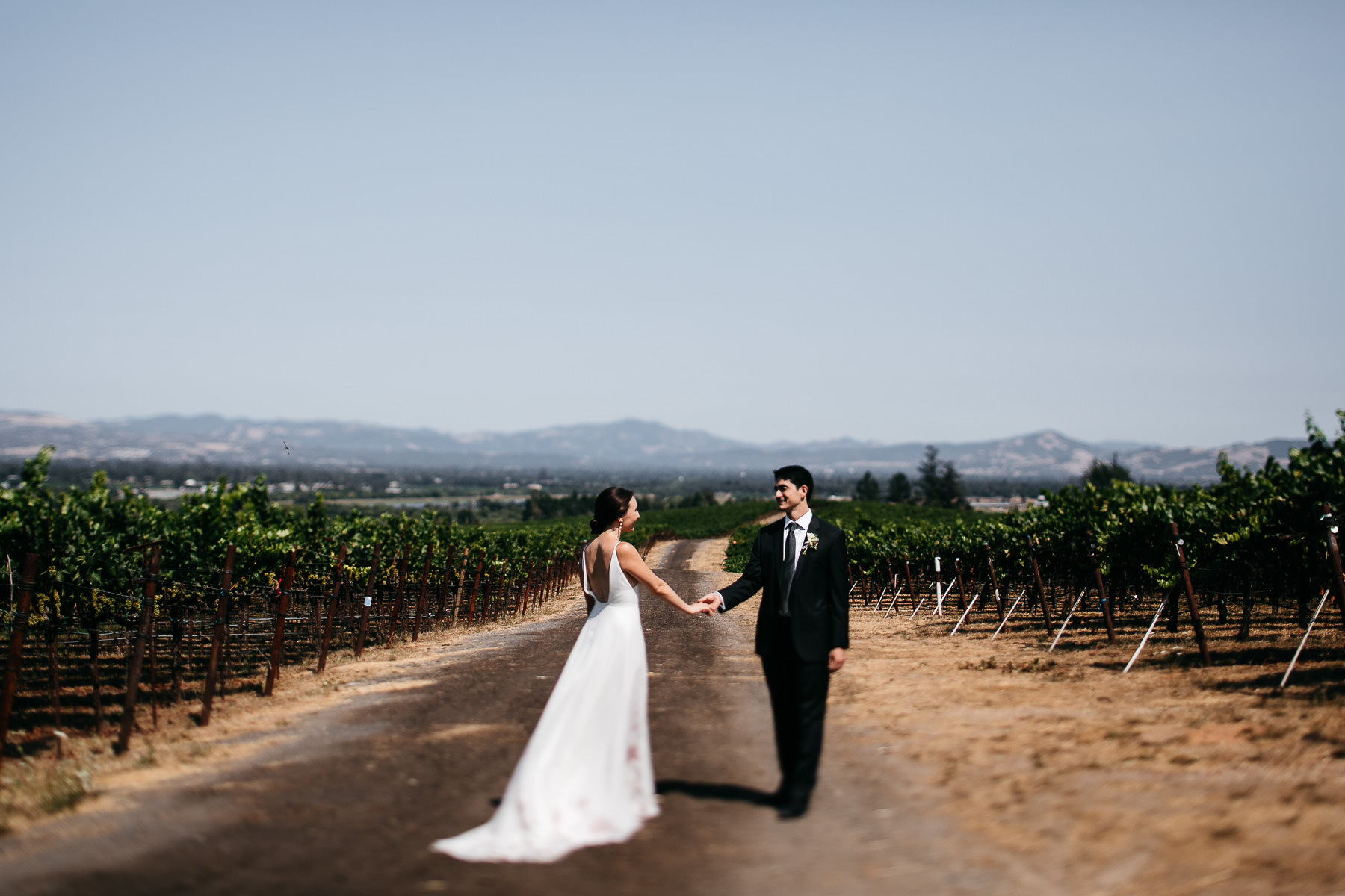 sebastopol-ca-summer-wedding-52