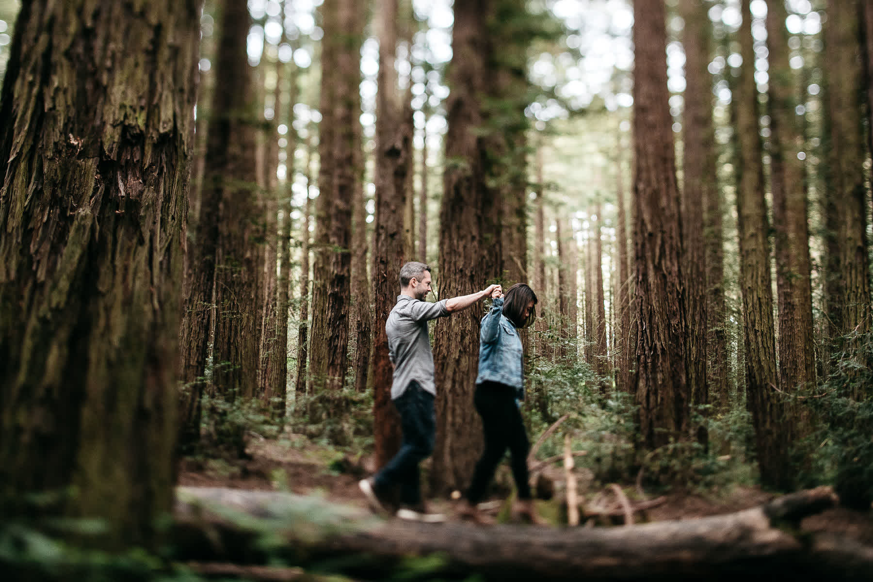 oakland-gloomy-redwood-engagement-session-with-puppy-12