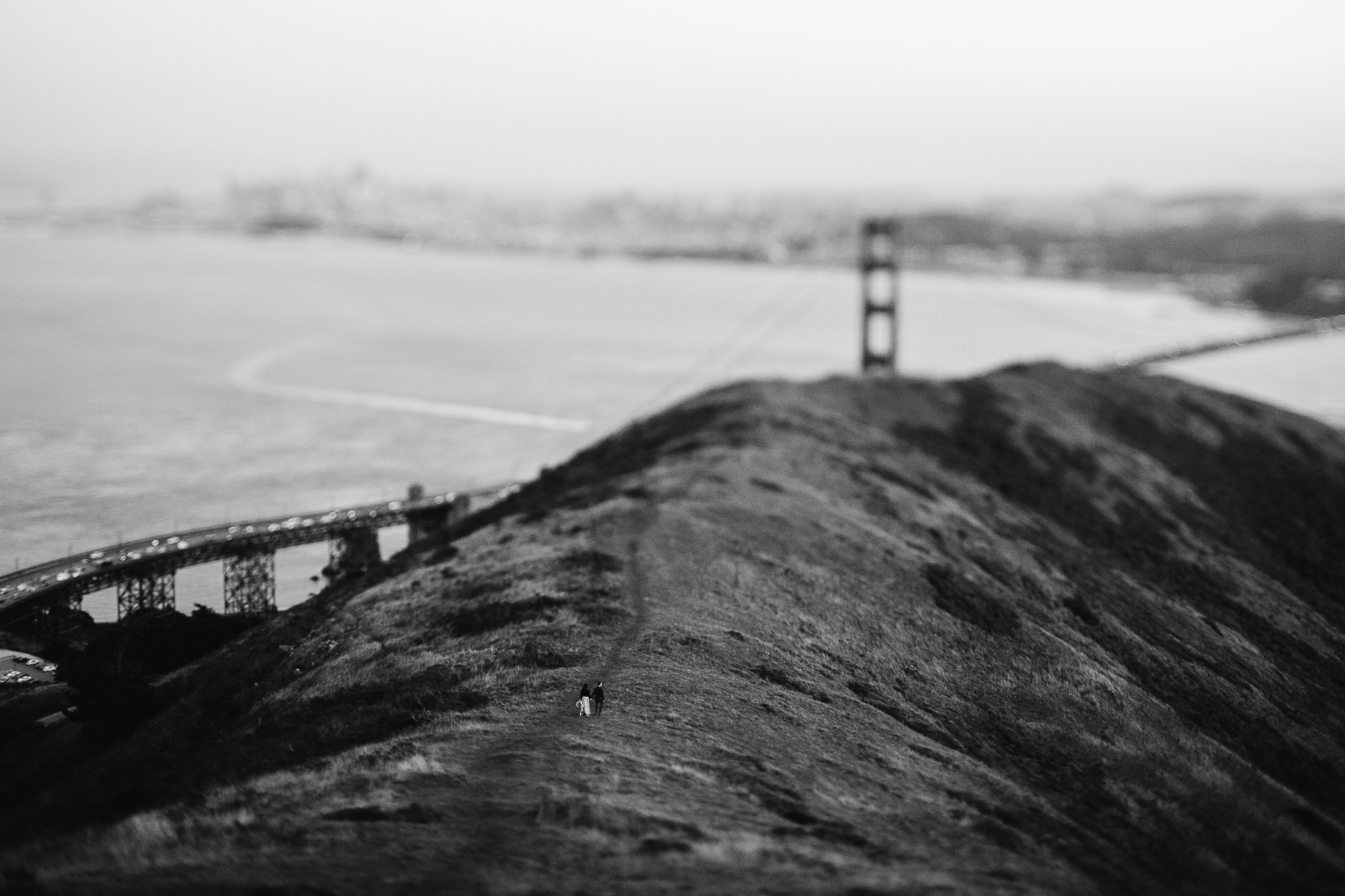 marin-headlands-redwood-golden-gate-bridge-engagement-session-39