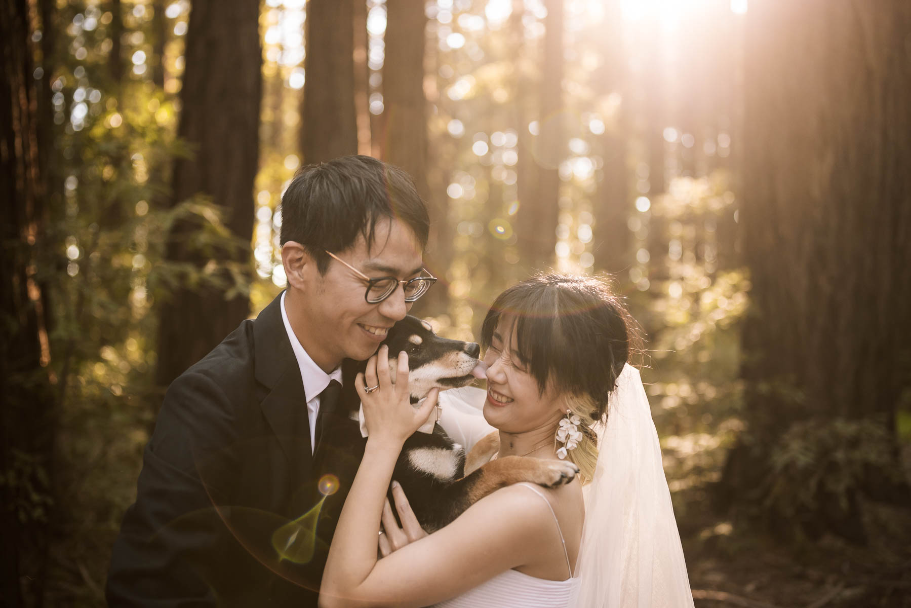 sf-city-hall-redwoods-elopement-shiba-73