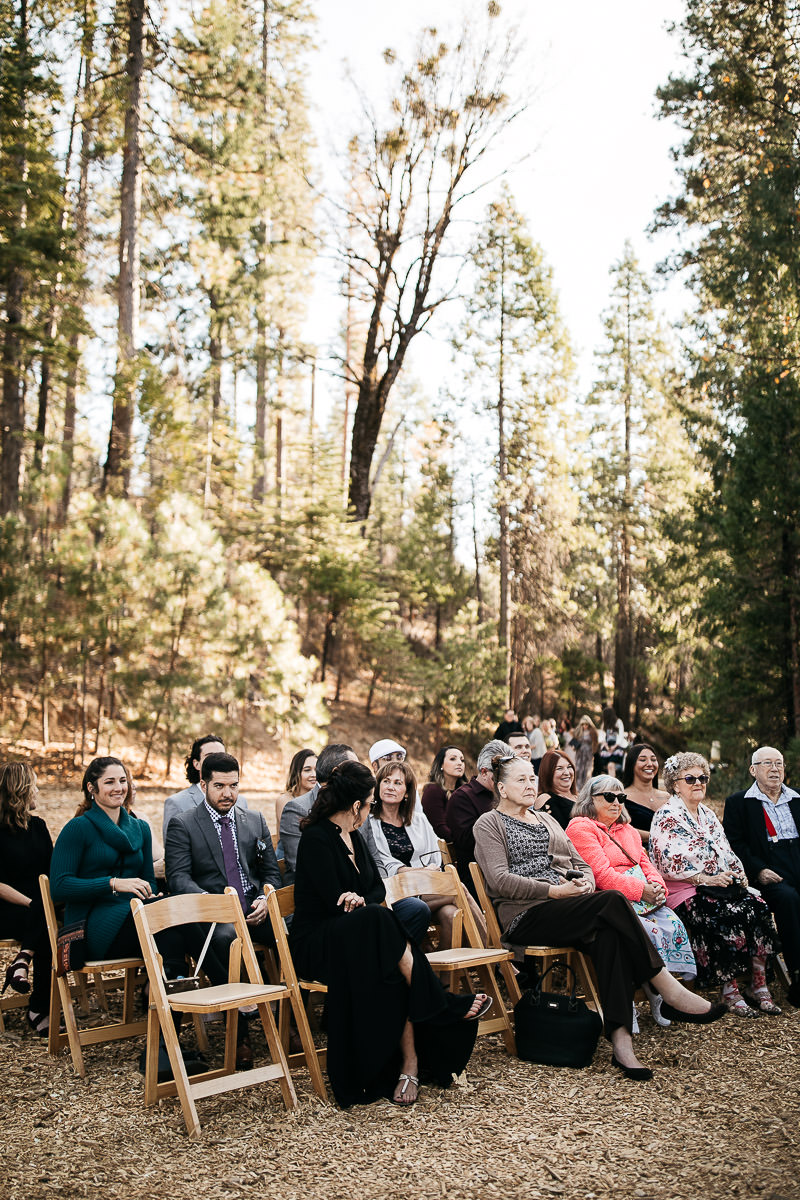 yosemite-rush-creek-fall-wedding-goldendoodle-33