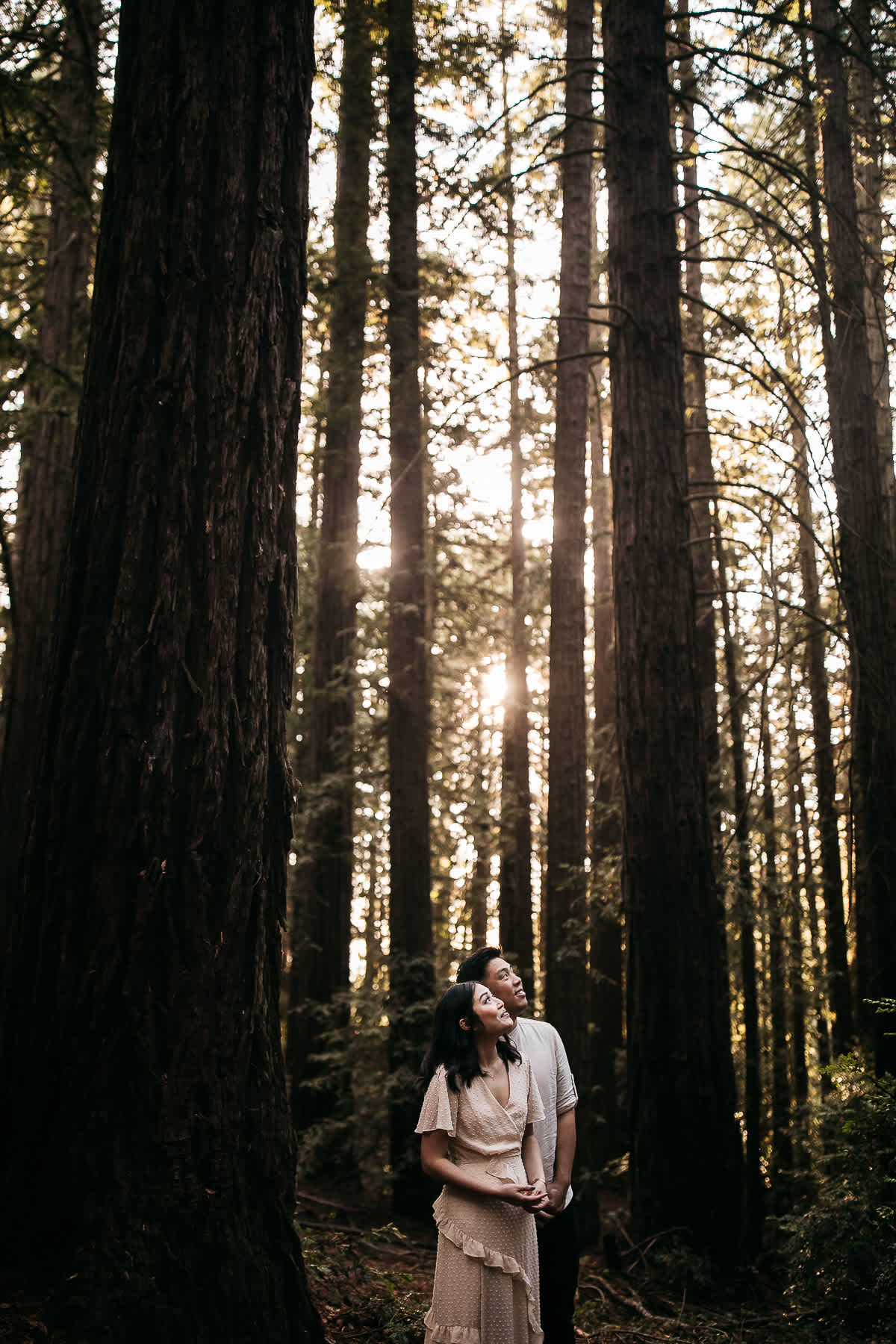 oakland-redwoods-fall-golden-light-engagement-session-16