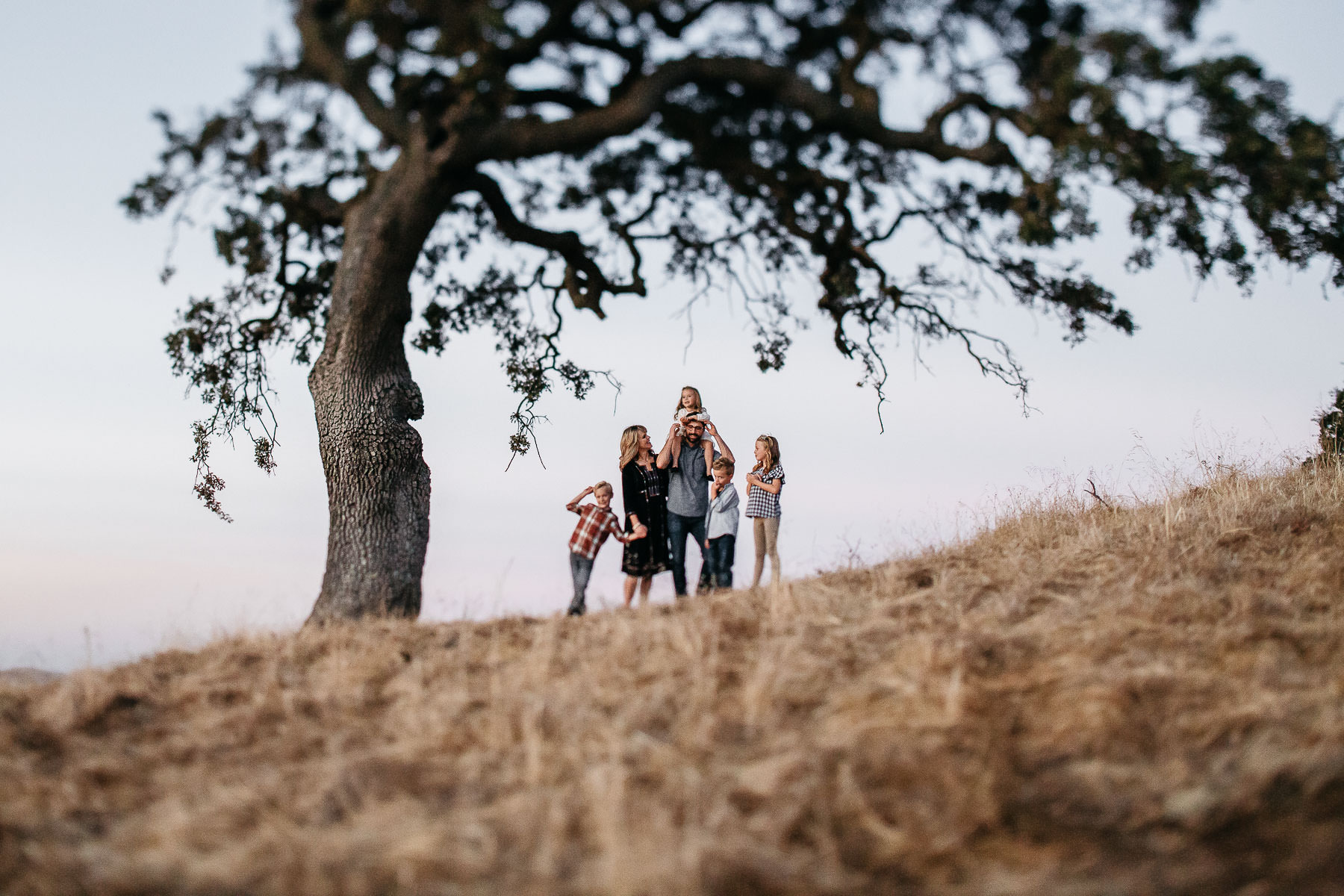 concord-golden-hill-california-fall-lifestyle-session-31