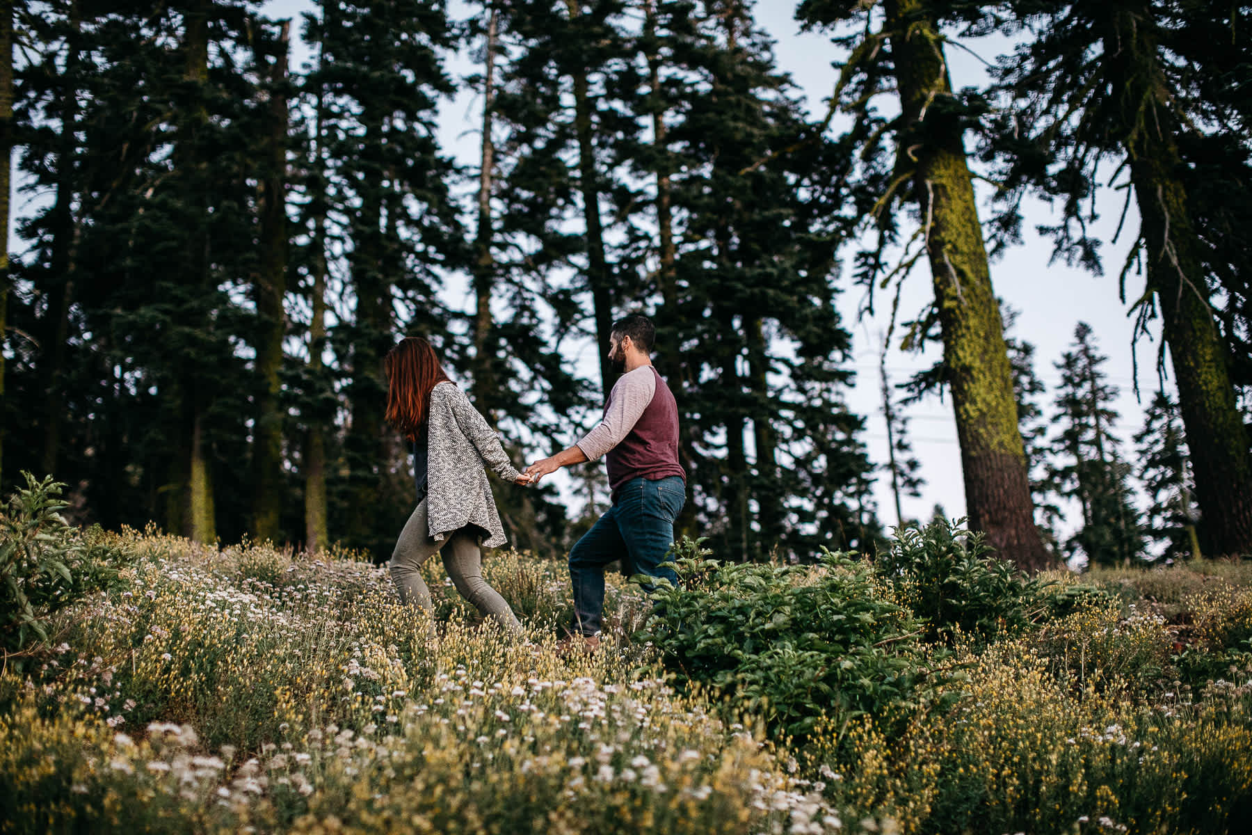 lake-tahoe-forest-donner-sunset-couple-session-32