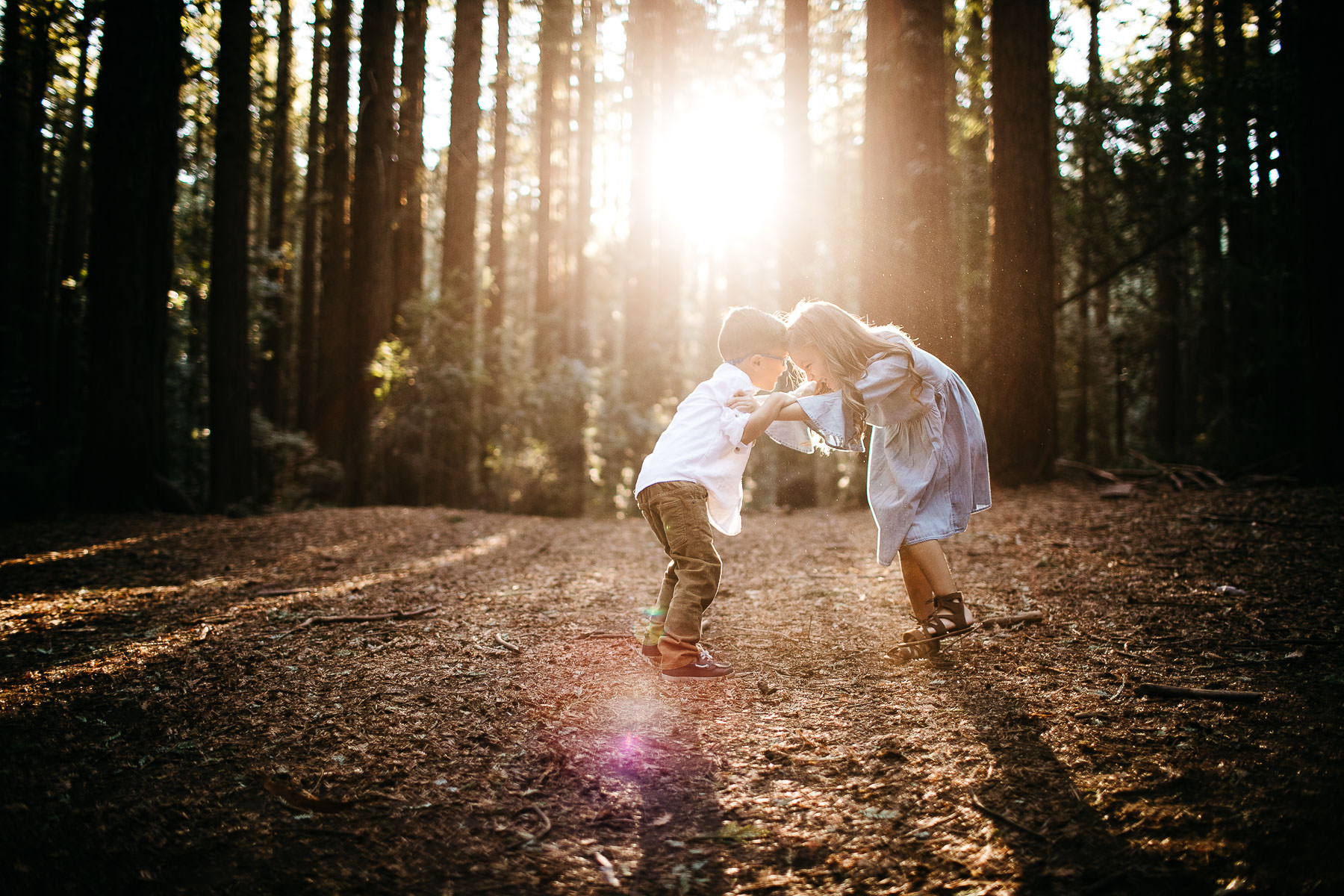 oakland-redwoods-morning-light-joaquin-miller-park-lifestyle-session-16