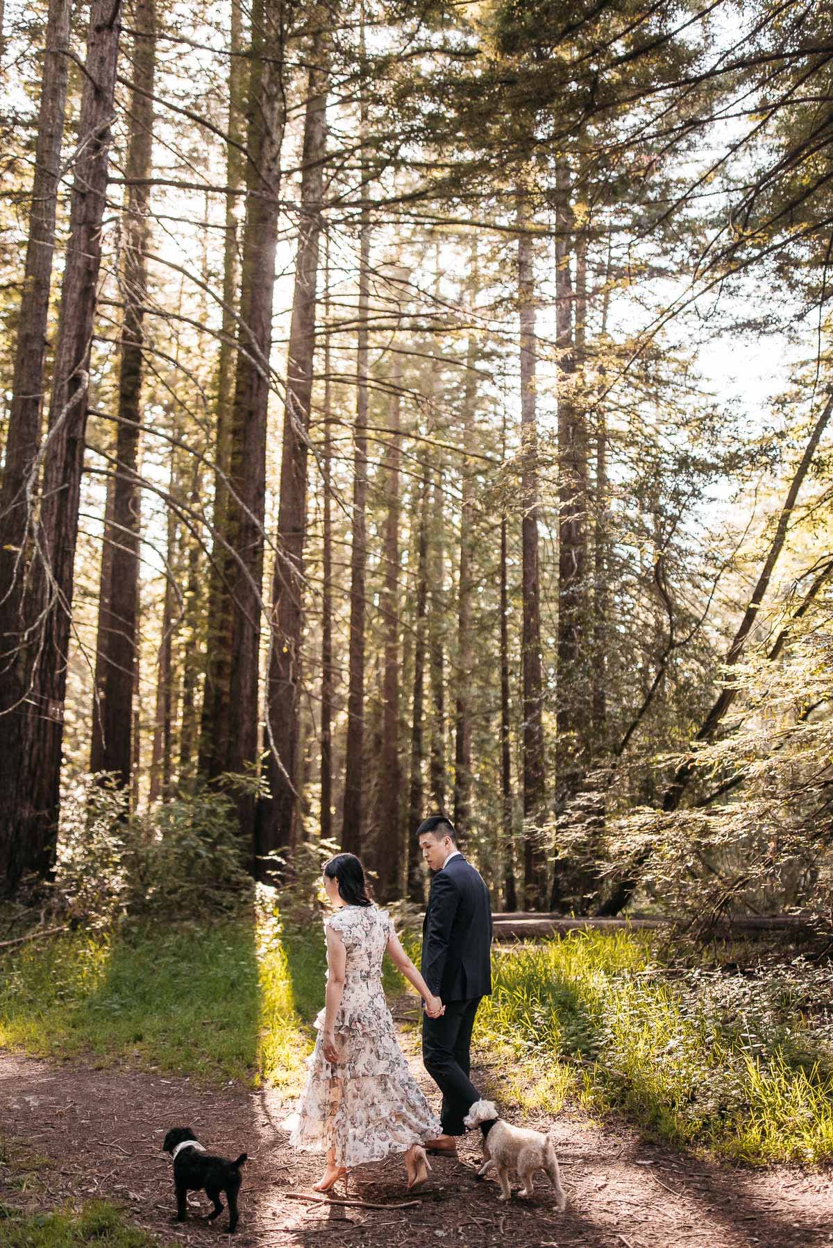 redwoods-coastal-pampas-grass-lifestyle-engagement-session-with-pups-1