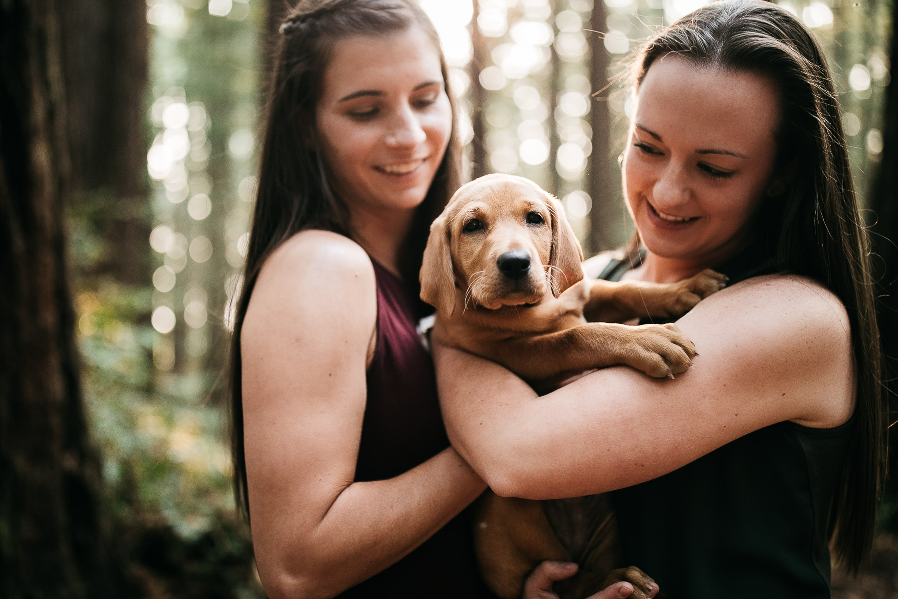 oakland-redwoods-new-puppy-session-labrador-9