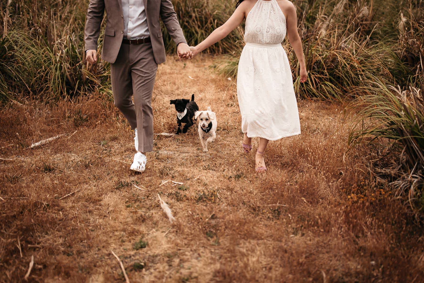 redwoods-coastal-pampas-grass-lifestyle-engagement-session-with-pups-33