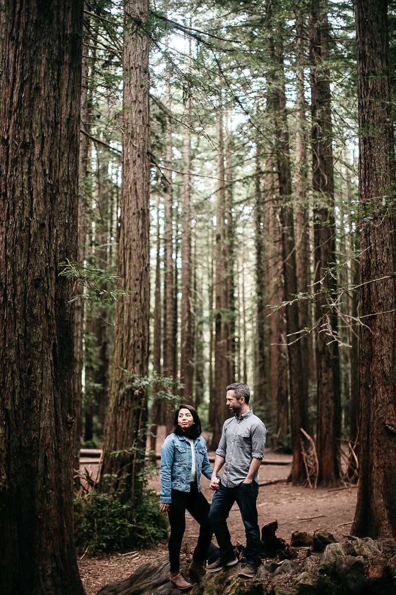 oakland-gloomy-redwood-engagement-session-with-puppy-15