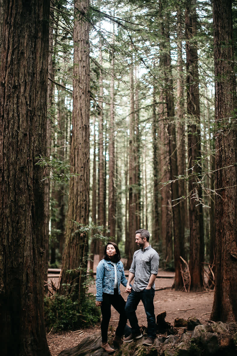 oakland-gloomy-redwood-engagement-session-with-puppy-15
