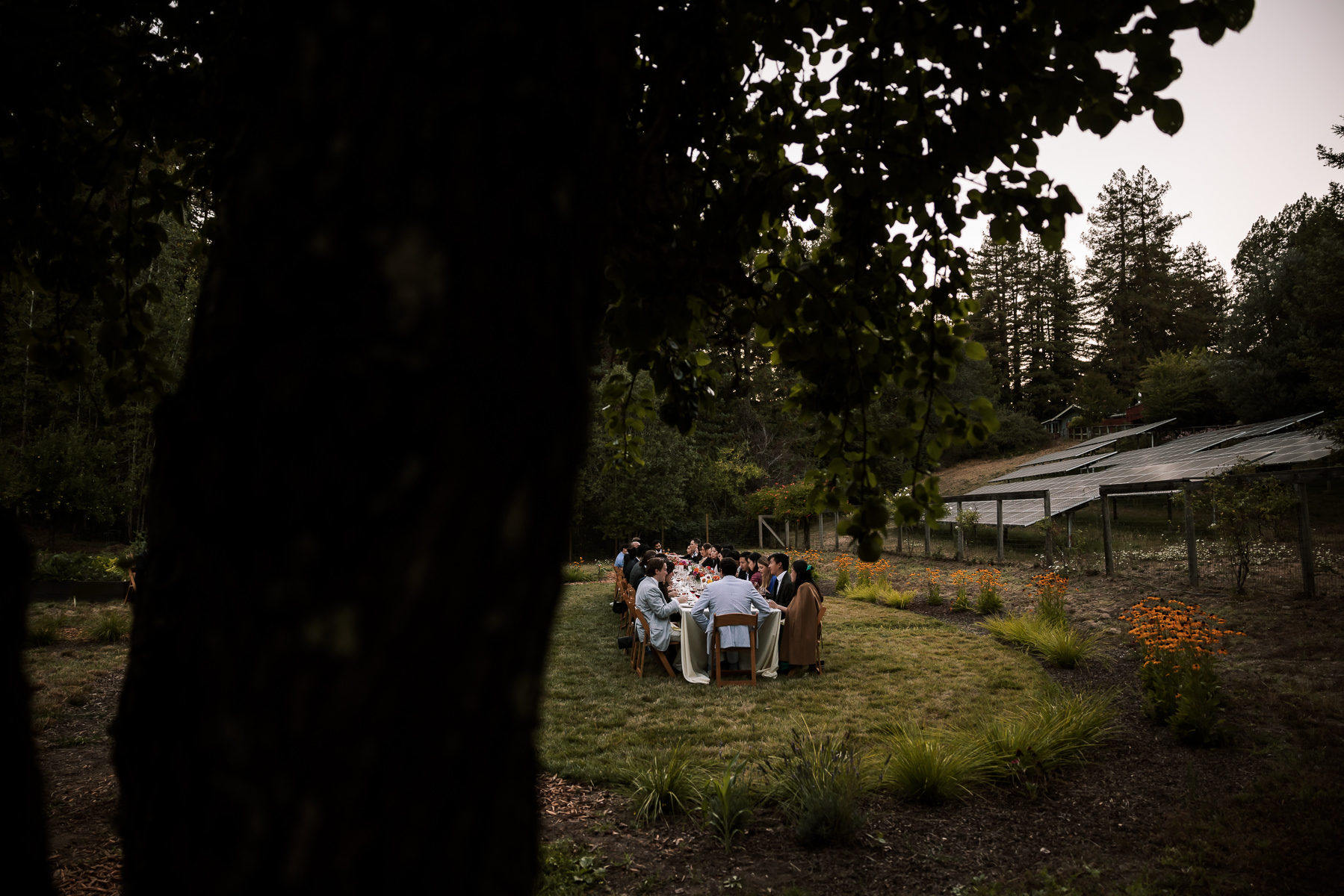 Stavrand-Russian-River-intimate-fall-wedding-118