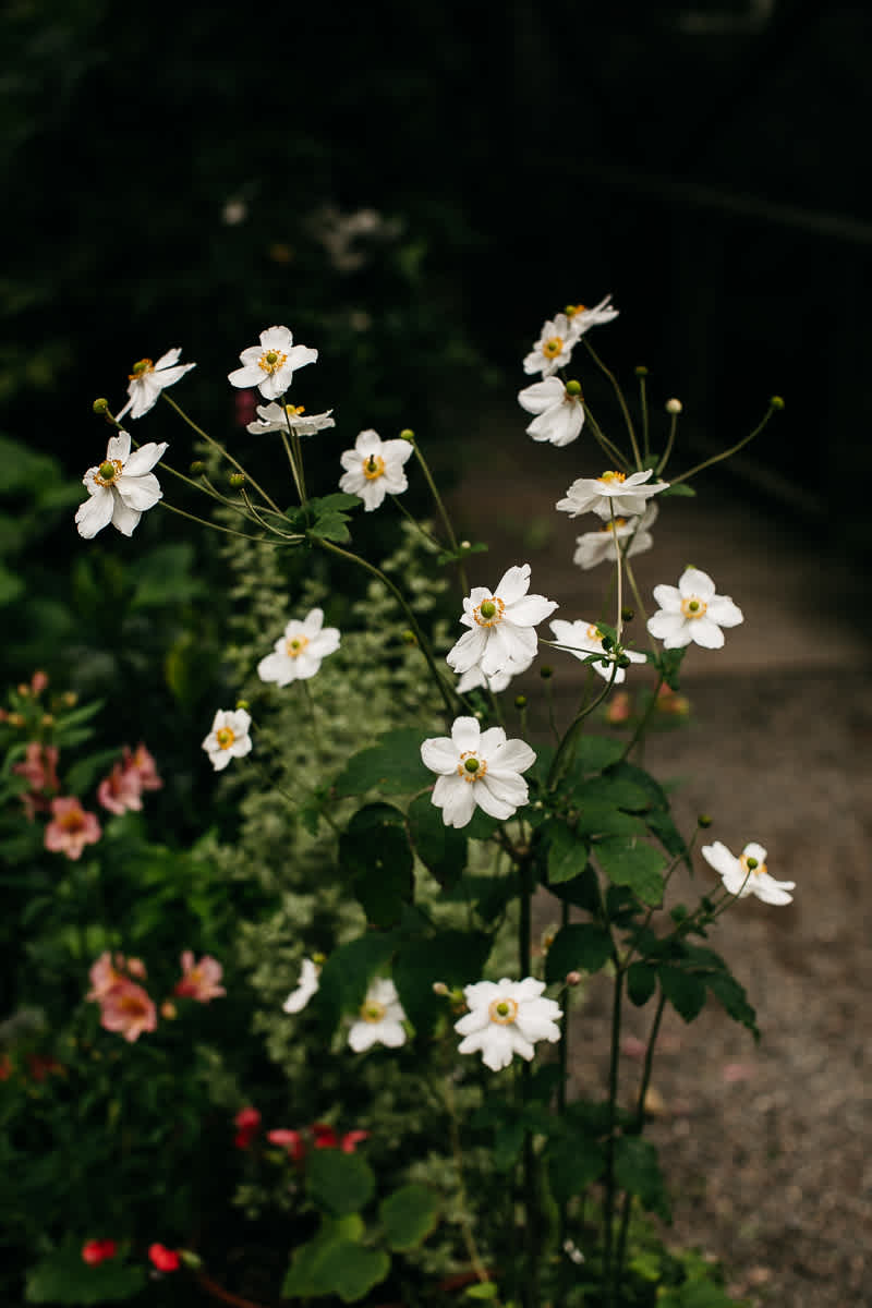 bodega-bay-secret-garden-gloomy-fall-wedding-54