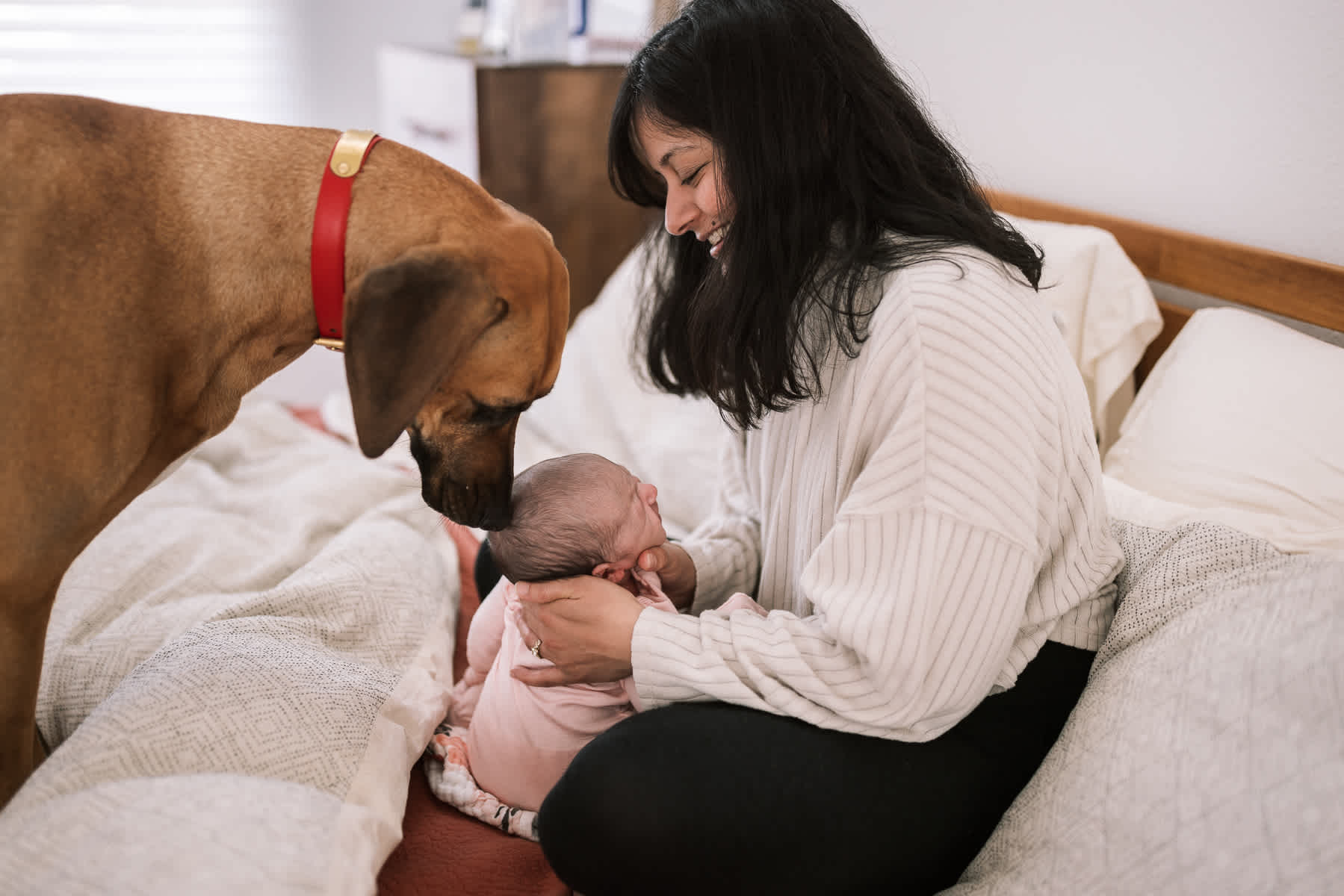 bay-area-in-home-lifestyle-newborn-session-64
