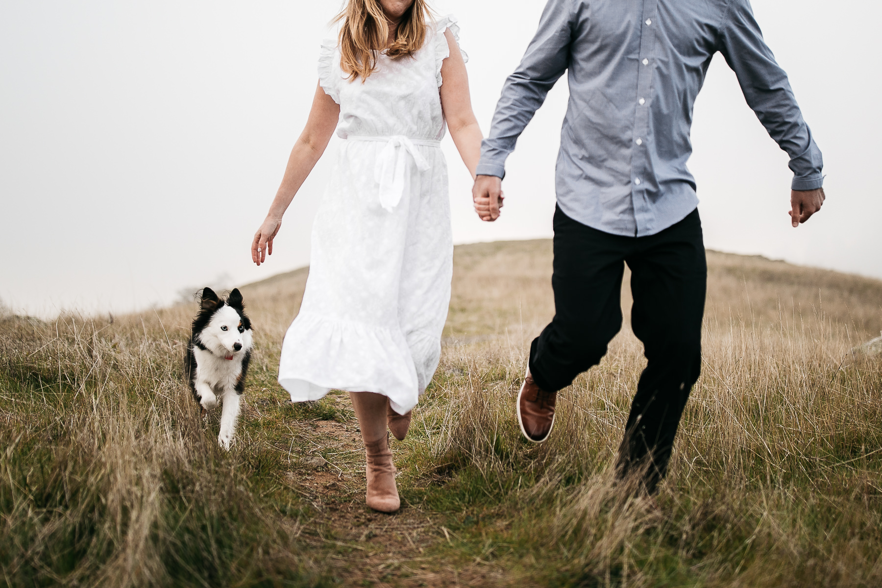 mt-tam-foggy-winter-engagement-session-australian-shepherd-puppy-24
