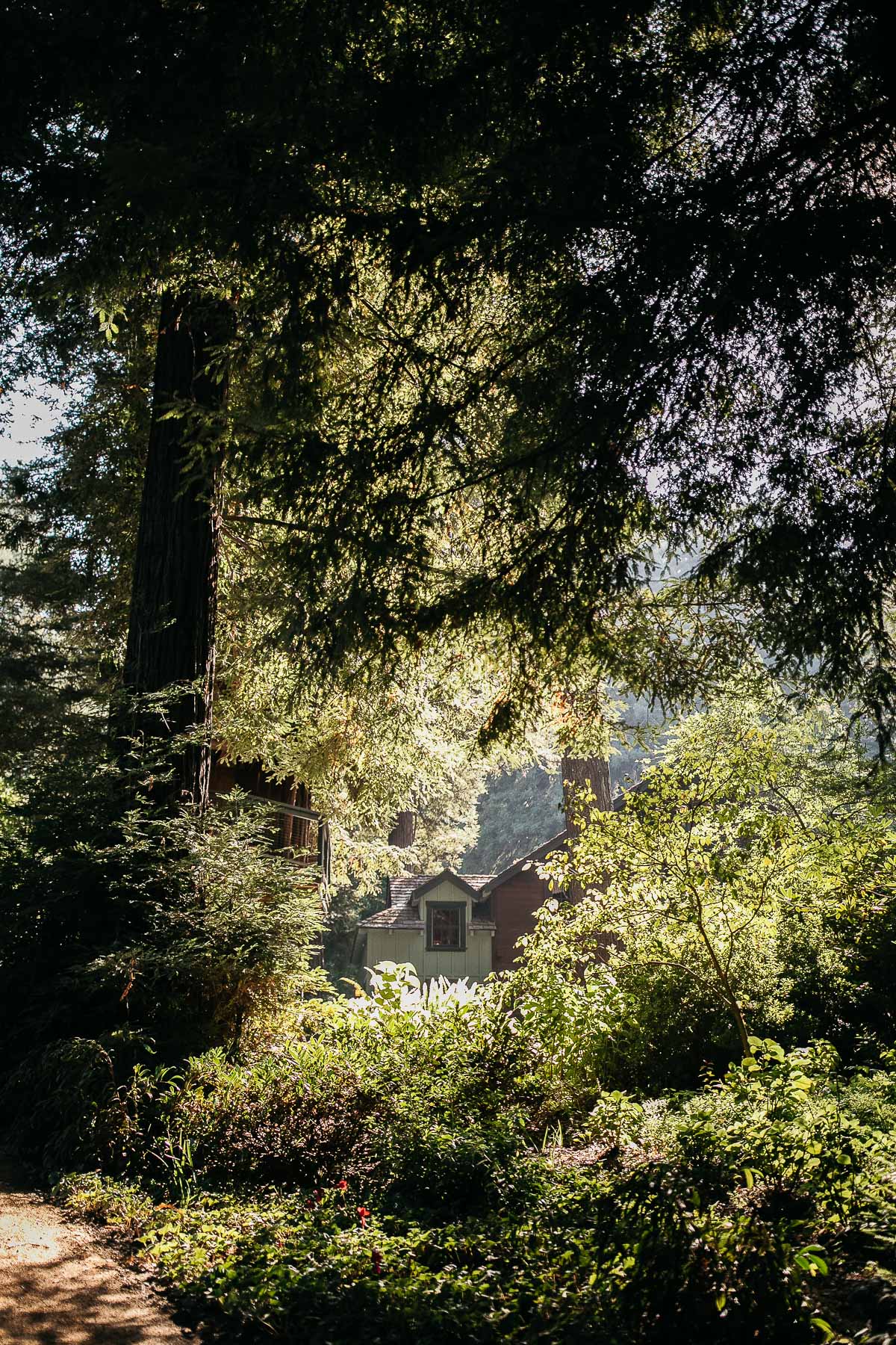 nestldown-micro-wedding-elopement-santa-cruz-sunset-81