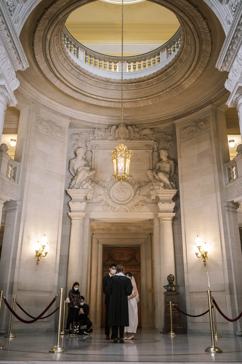 sf-city-hall-redwoods-elopement-shiba-10
