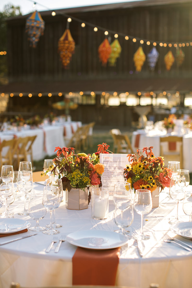 Monkey-ranch-petaluma-golden-hills-wedding-98