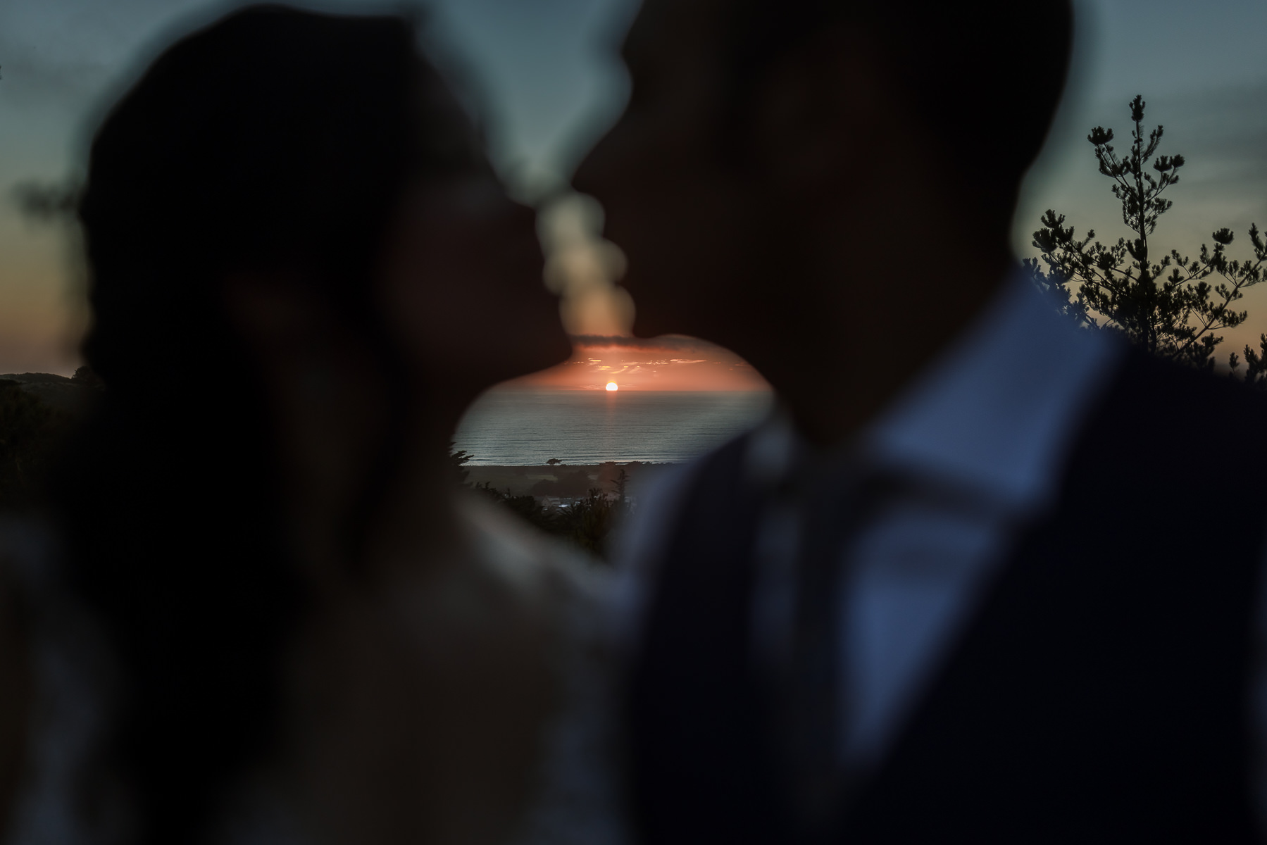 Pacifica-shelldance-orchid-gardens-summer-wedding-178