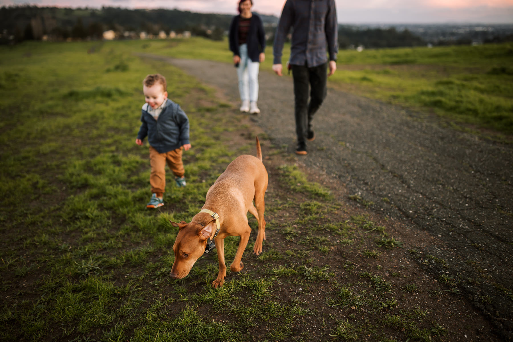 oakland-green-hills-winter-family-lifestyle-session-55