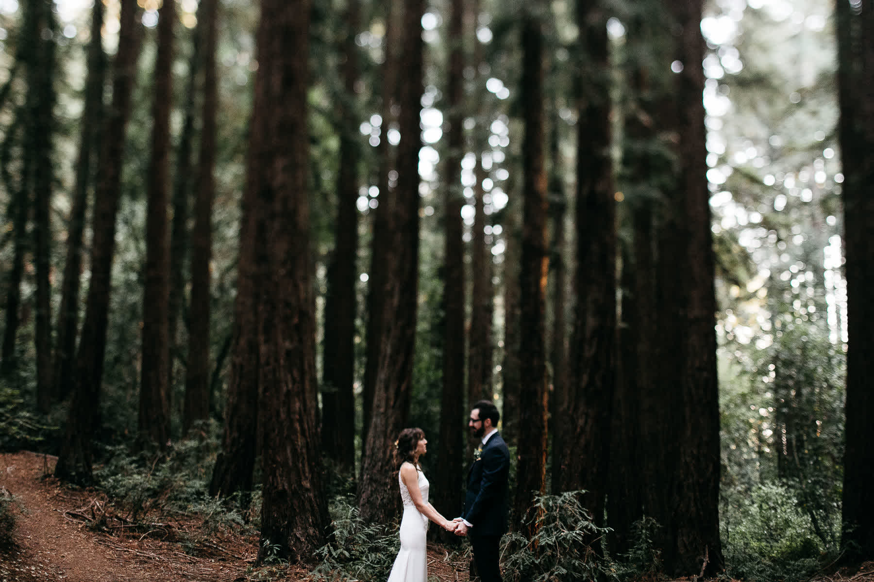 oakland-redwoods-summer-wedding-77