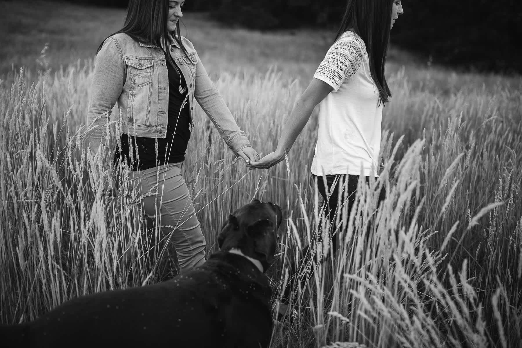 mt-tam-sunset-engagement-session-with-boxer-lab-dogs-17