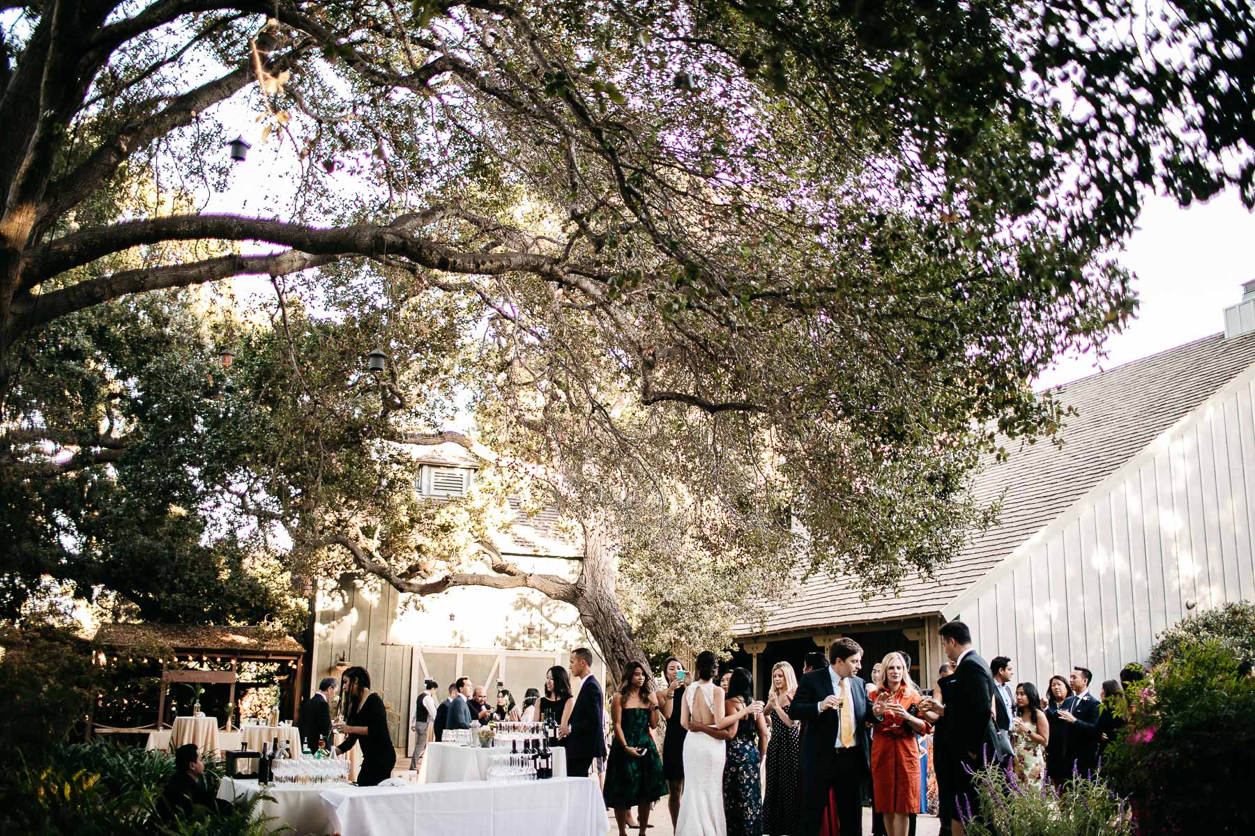mountain-view-ca-catholic-church-wedding-los-altos-reception-94