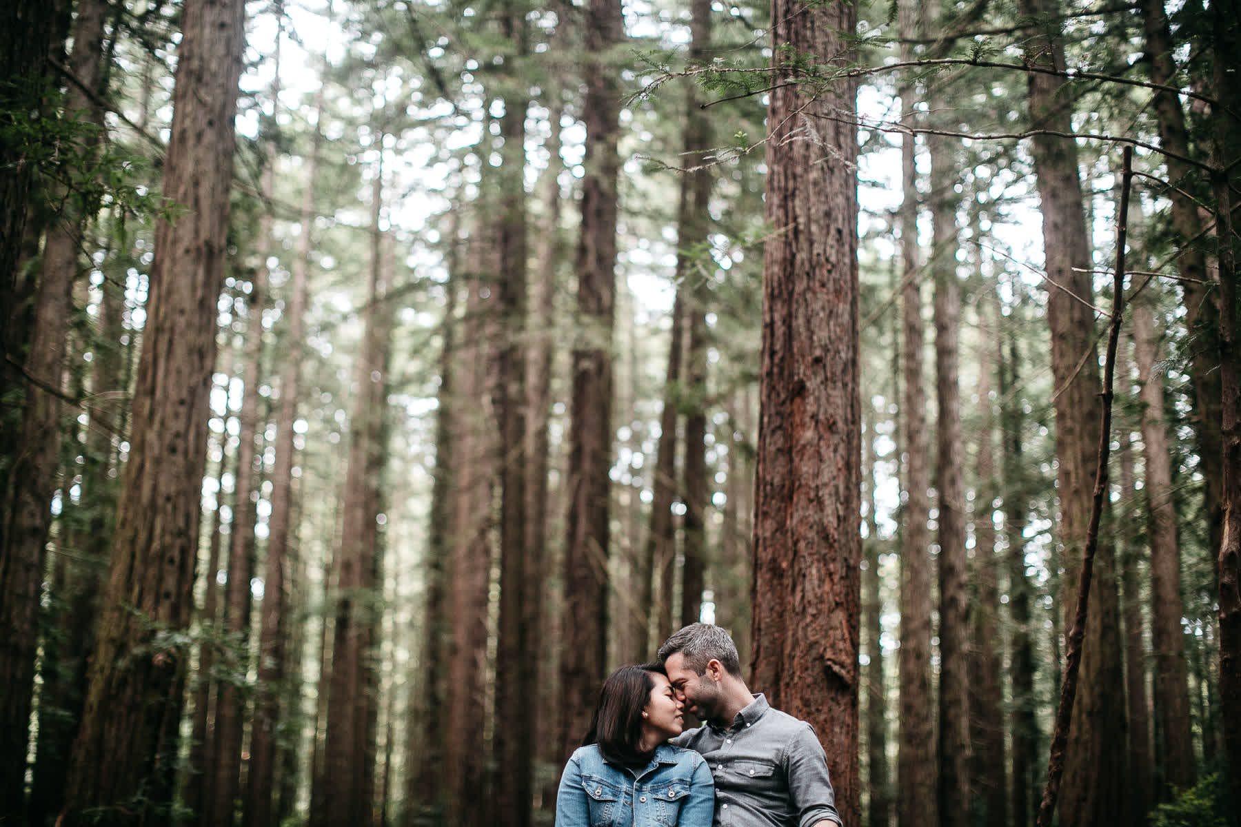 oakland-gloomy-redwood-engagement-session-with-puppy-21