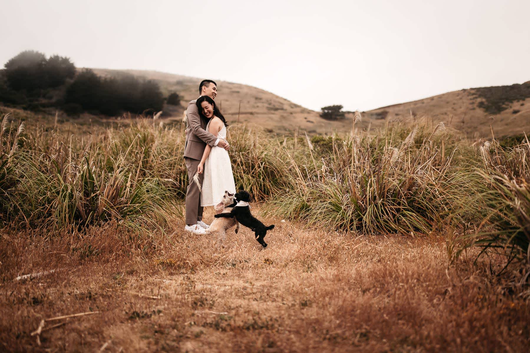 redwoods-coastal-pampas-grass-lifestyle-engagement-session-with-pups-36