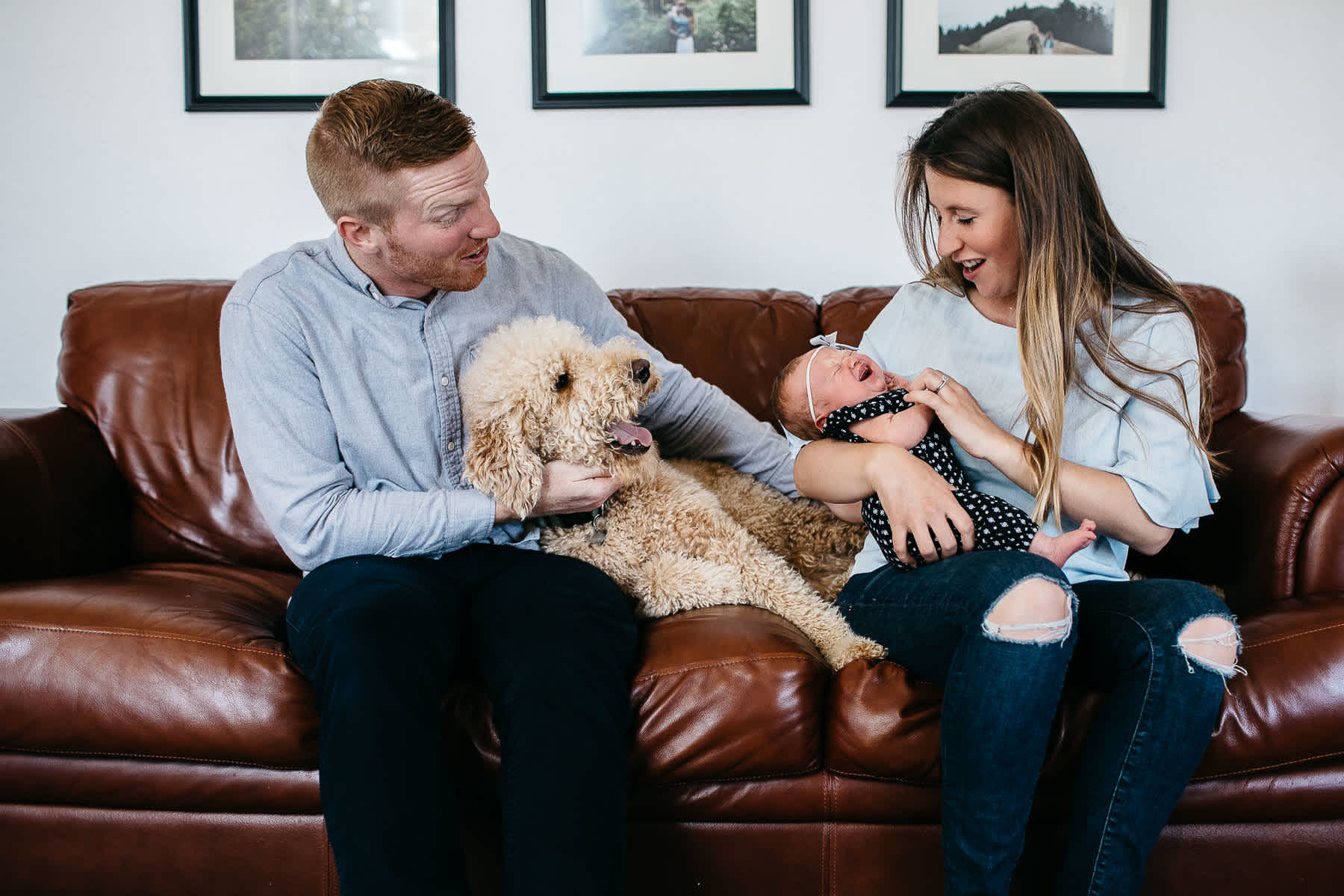 san-francisco-lifestyle-in-home-newborn-with-dog-2