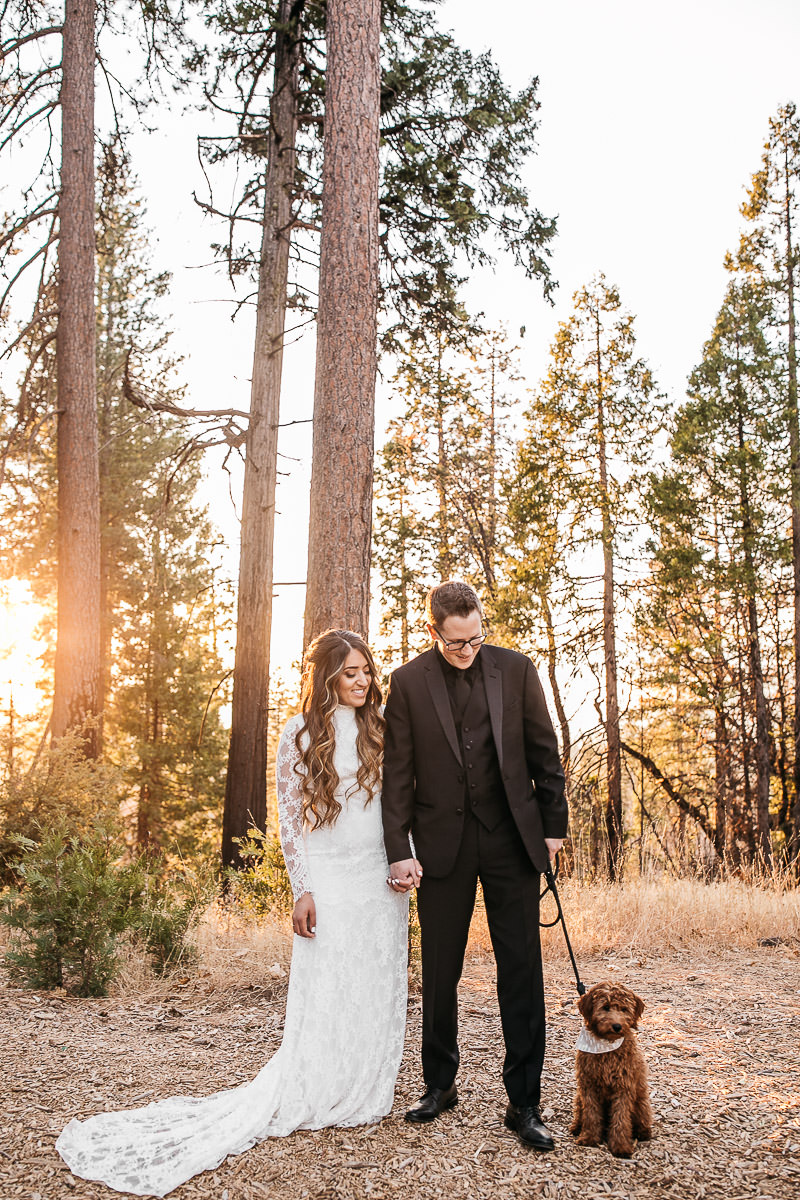 yosemite-rush-creek-fall-wedding-goldendoodle-80