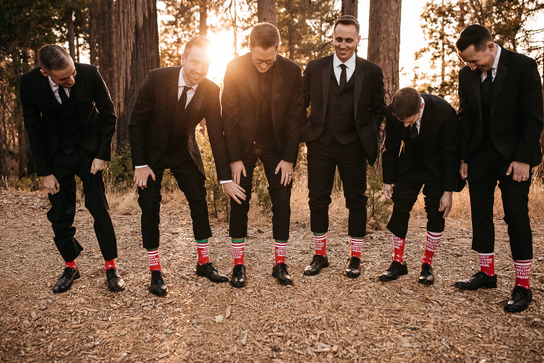 yosemite-rush-creek-fall-wedding-goldendoodle-68