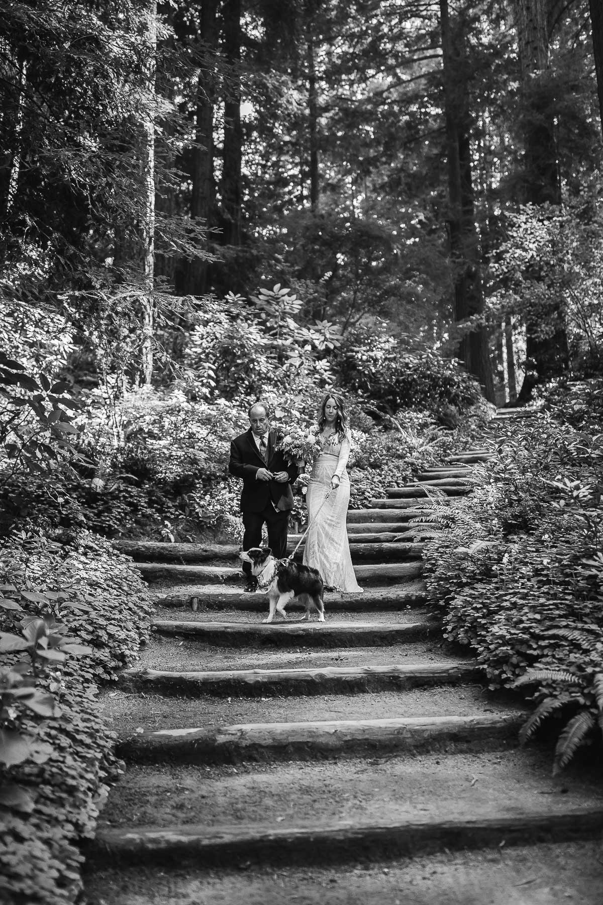 nestldown-micro-wedding-elopement-santa-cruz-sunset-46