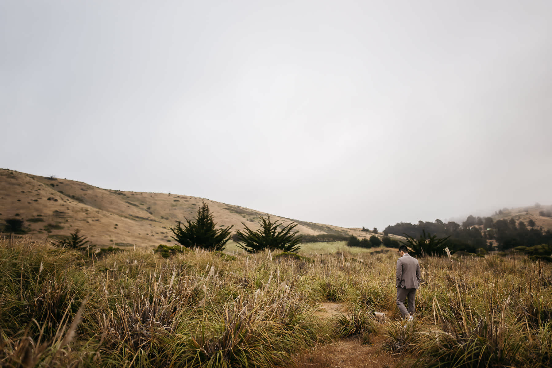 redwoods-coastal-pampas-grass-lifestyle-engagement-session-with-pups-21