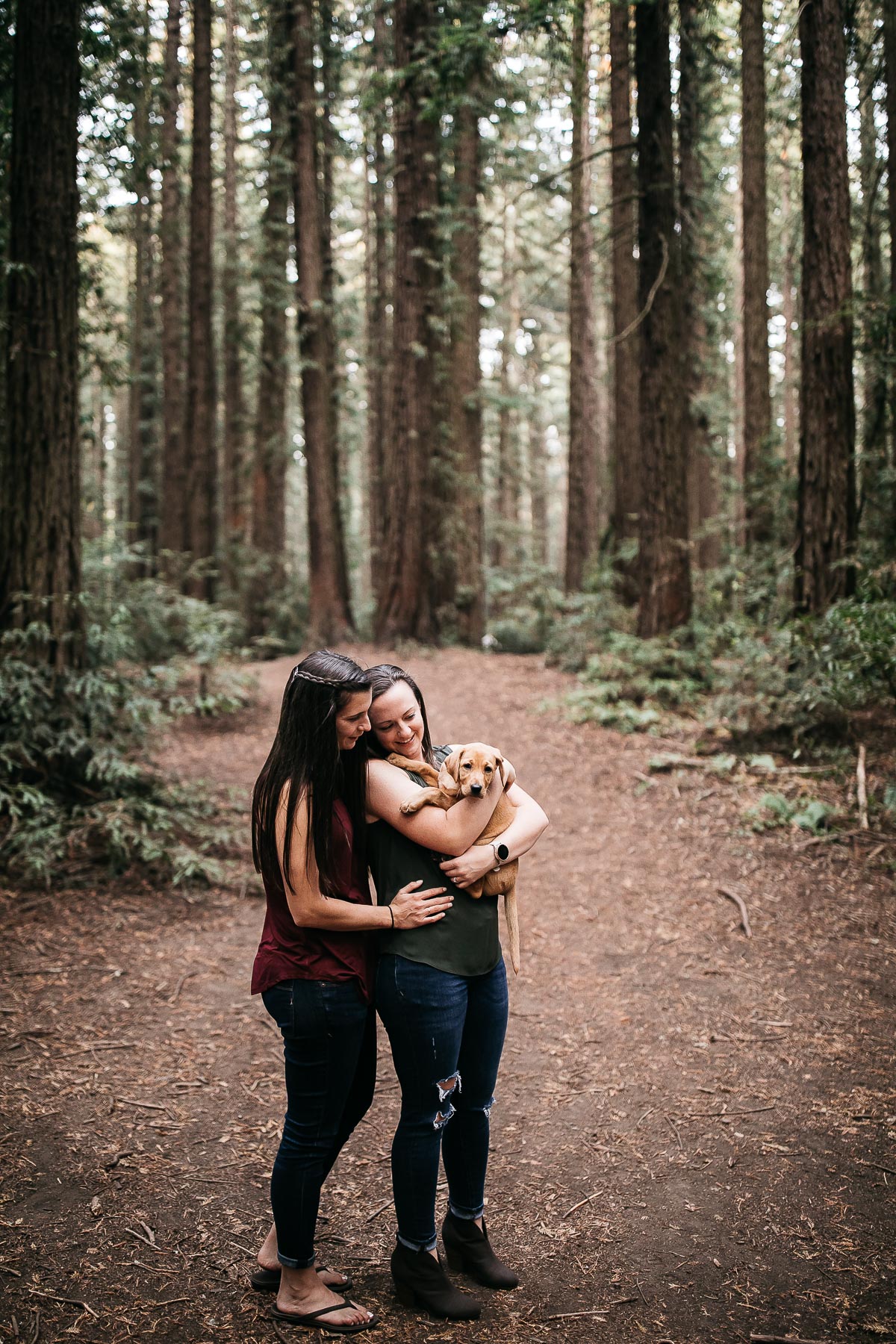 oakland-redwoods-new-puppy-session-labrador-30