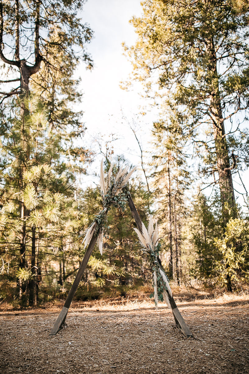 yosemite-rush-creek-fall-wedding-goldendoodle-30