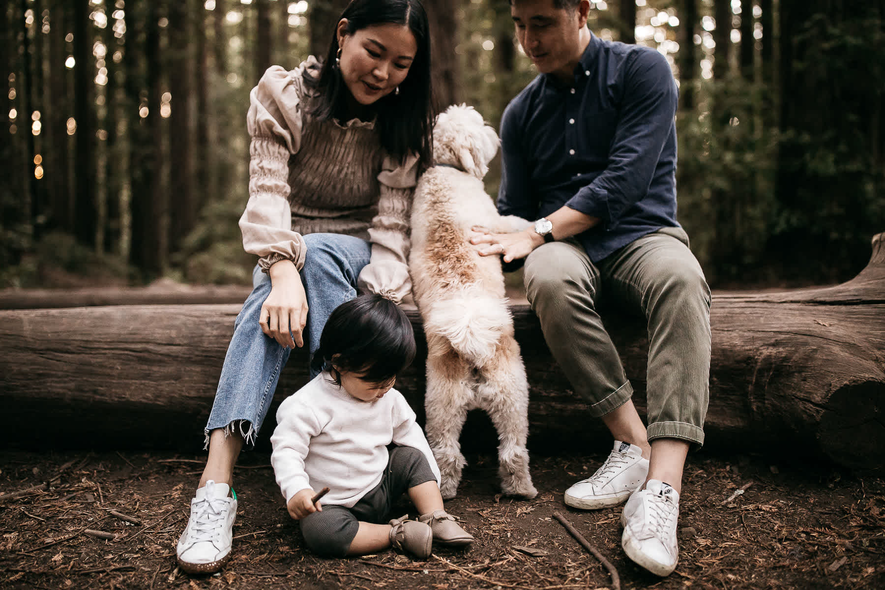 oakland-redwoods-lifestyle-first-birthday-session-17