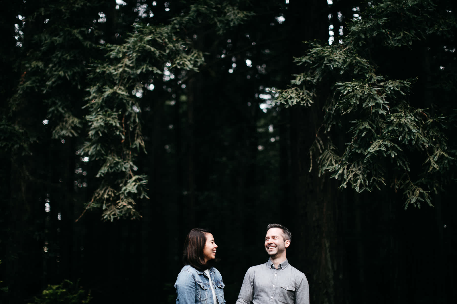 oakland-gloomy-redwood-engagement-session-with-puppy-44