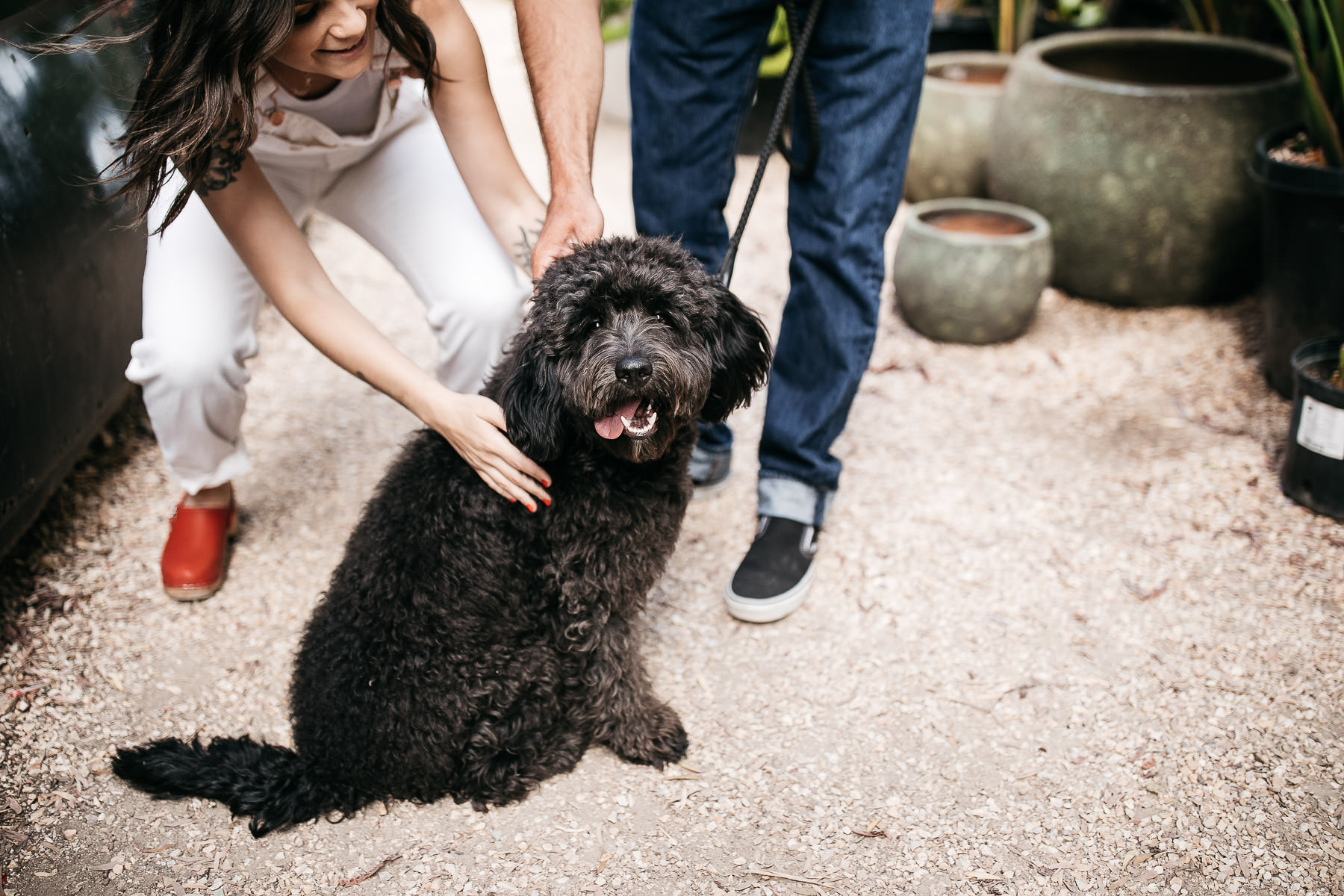 san-francisco-flora-grubb-gardens-engagement-city-foggy-session-1