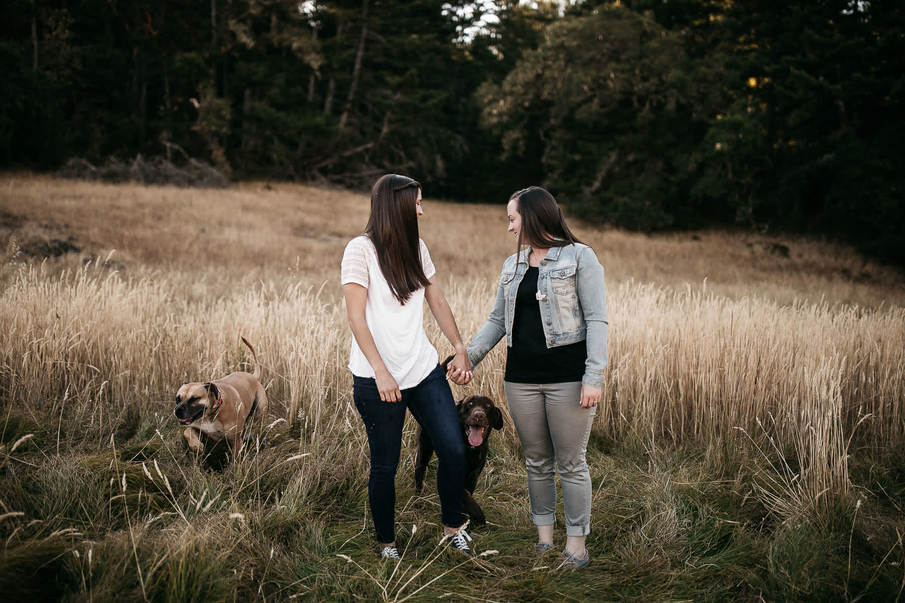 mt-tam-sunset-engagement-session-with-boxer-lab-dogs-6