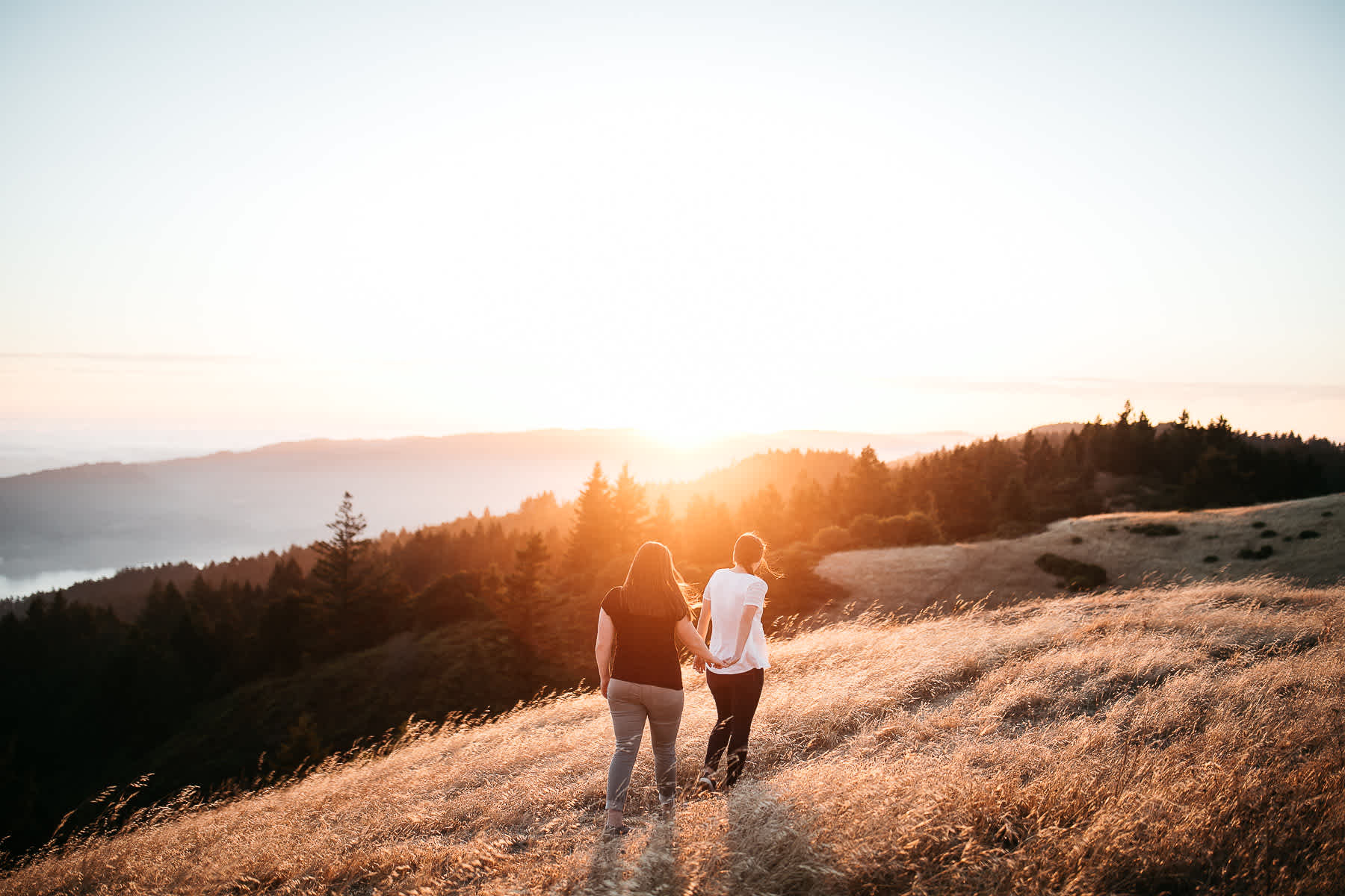 mt-tam-sunset-engagement-session-with-boxer-lab-dogs-37